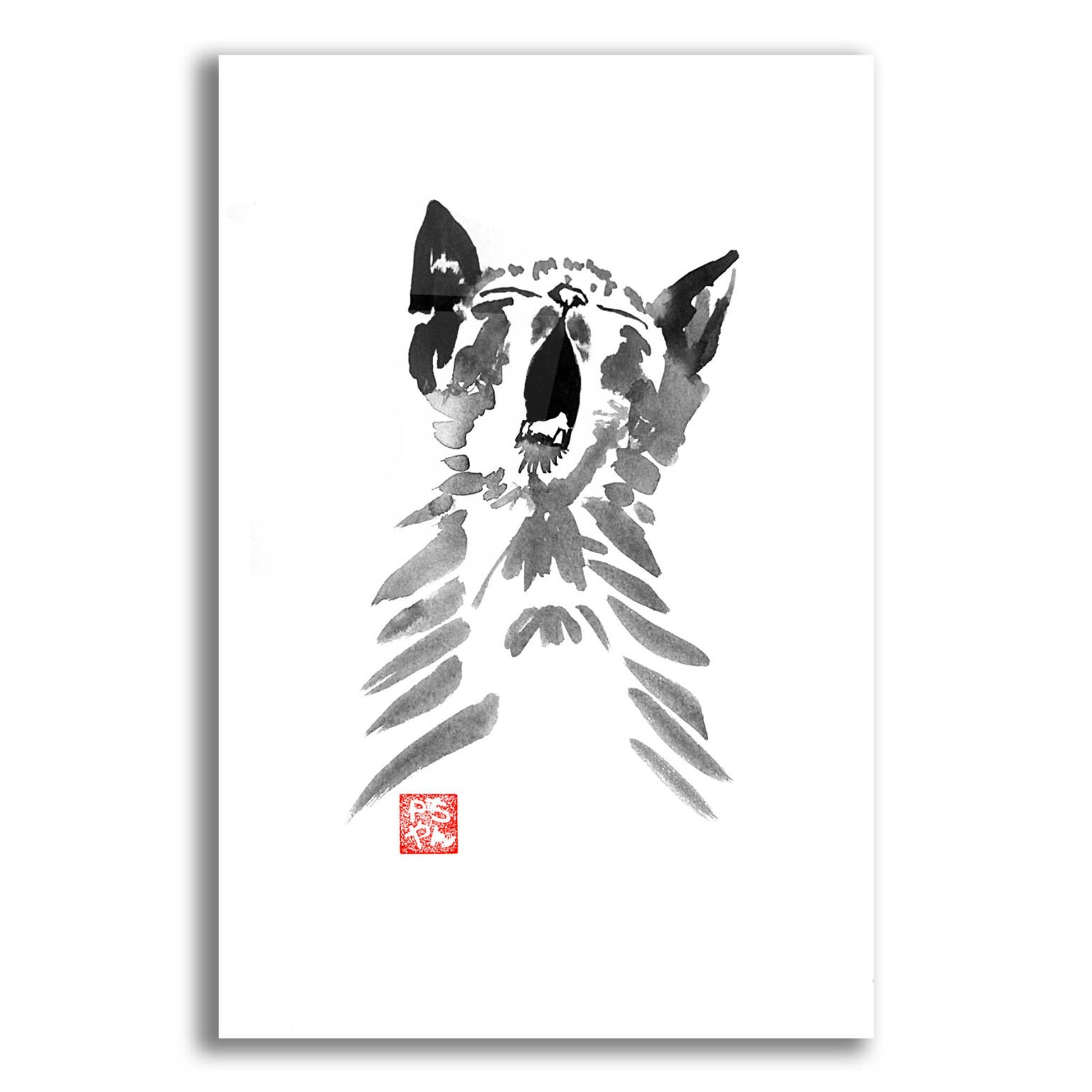 Epic Art 'Yawning Cat' by Pechane, Acrylic Glass Wall Art,12x16