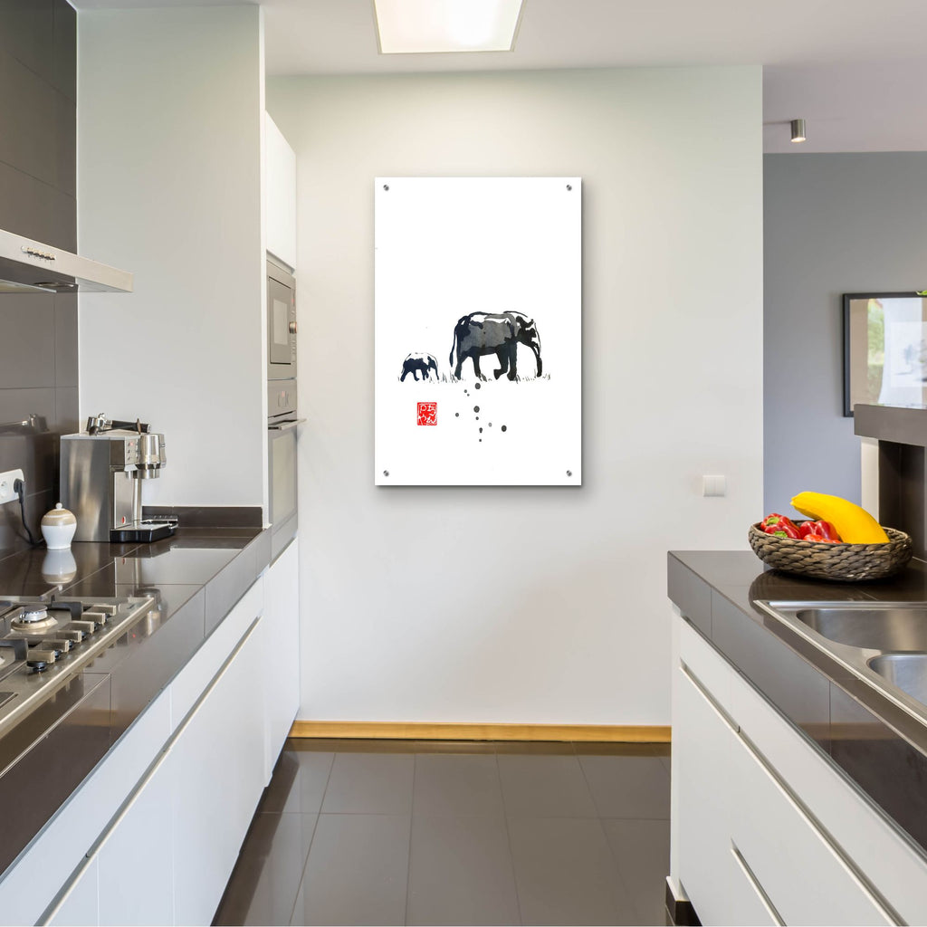 Epic Art 'Elephant' by Pechane, Acrylic Glass Wall Art,24x36