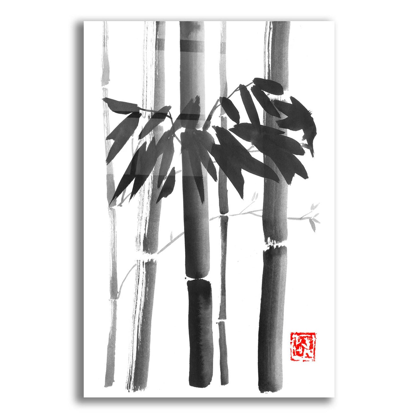 Epic Art 'Bamboo Bouquet' by Pechane, Acrylic Glass Wall Art,12x16