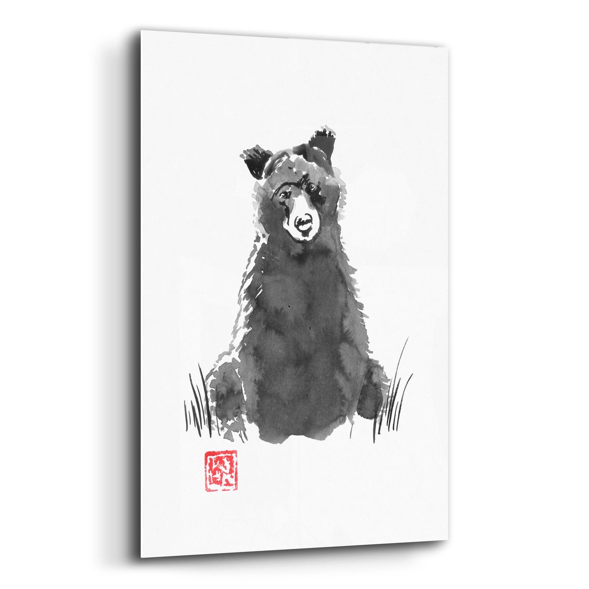 Epic Art 'Bear' by Pechane, Acrylic Glass Wall Art,12x16