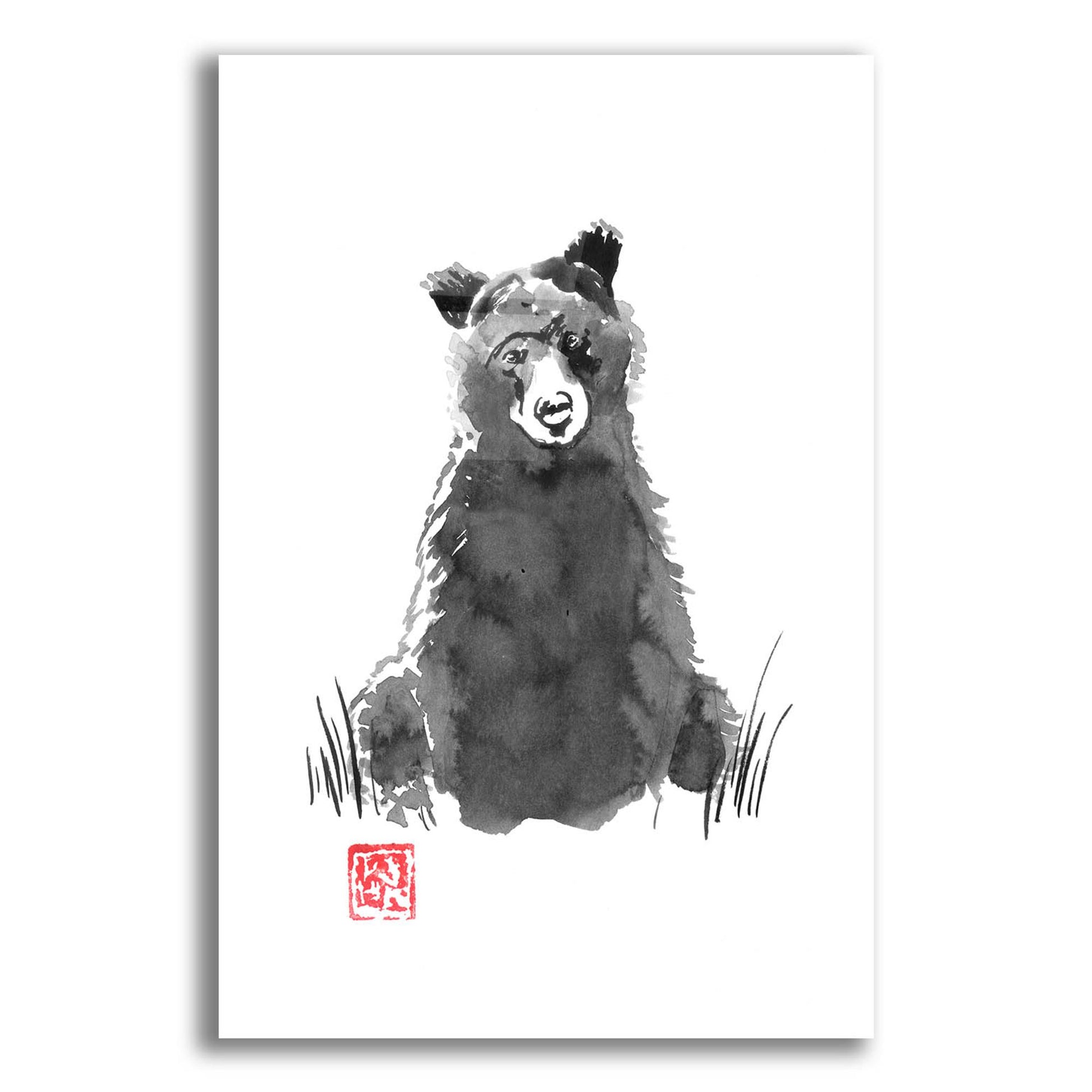 Epic Art 'Bear' by Pechane, Acrylic Glass Wall Art,12x16