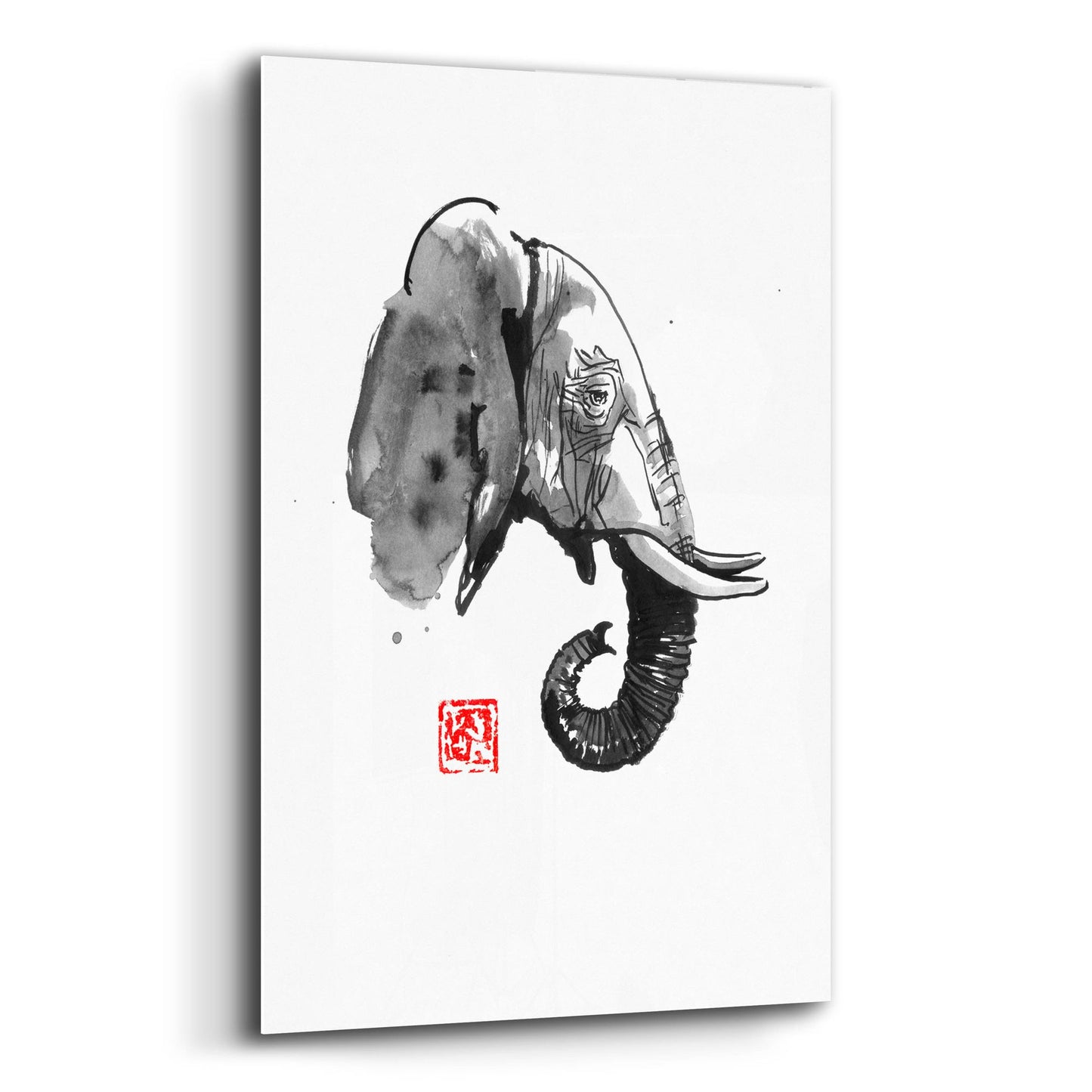 Epic Art 'Elephant Profile' by Pechane, Acrylic Glass Wall Art,12x16