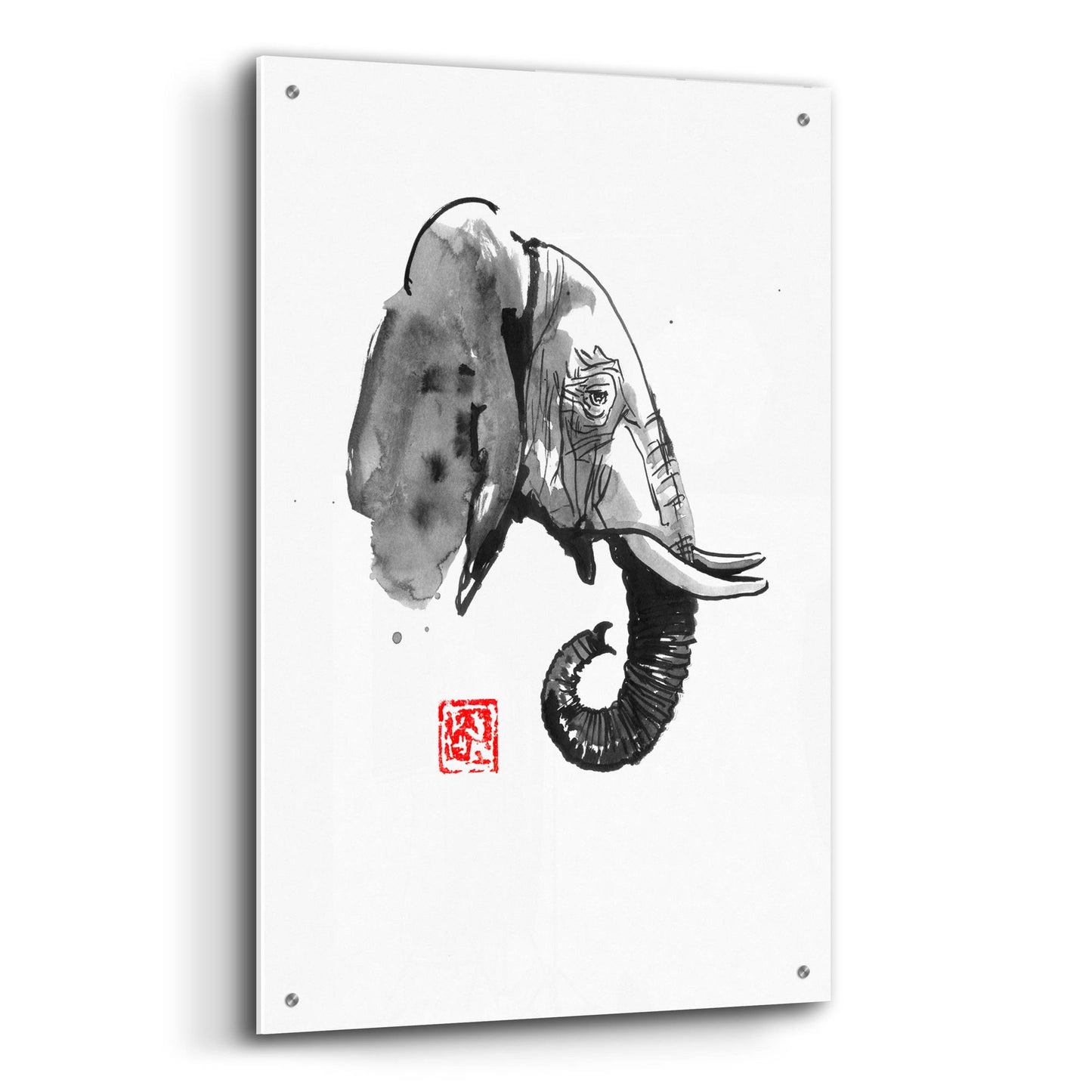 Epic Art 'Elephant Profile' by Pechane, Acrylic Glass Wall Art,24x36