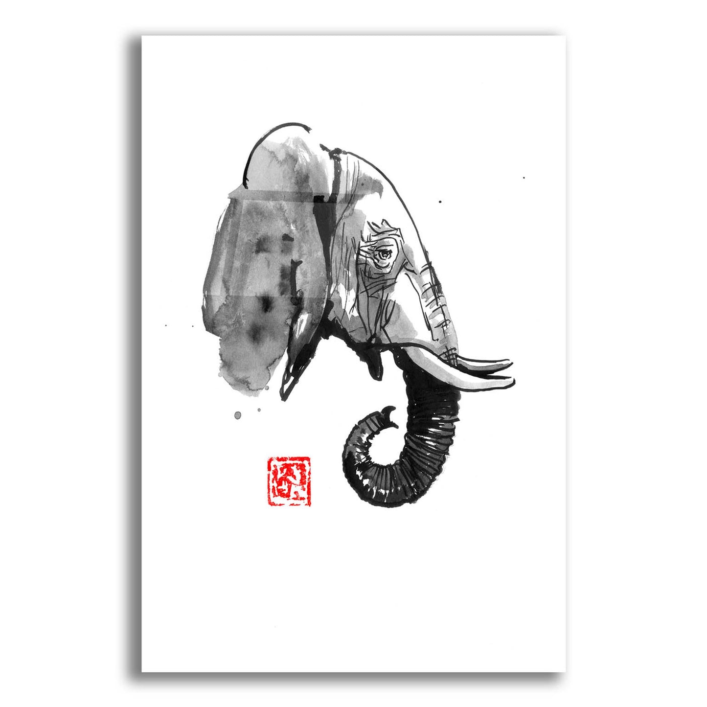 Epic Art 'Elephant Profile' by Pechane, Acrylic Glass Wall Art