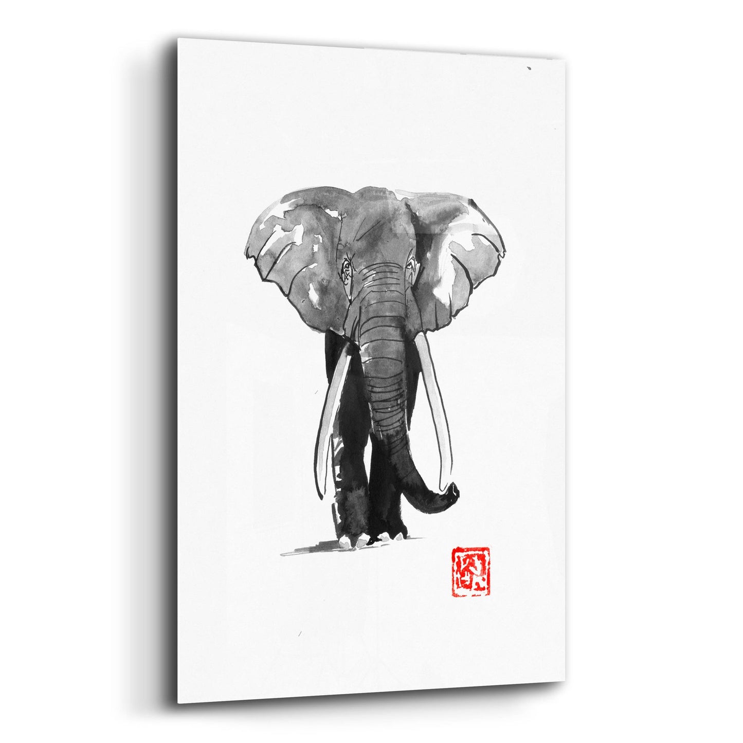 Epic Art 'Elephant 2' by Pechane, Acrylic Glass Wall Art,12x16