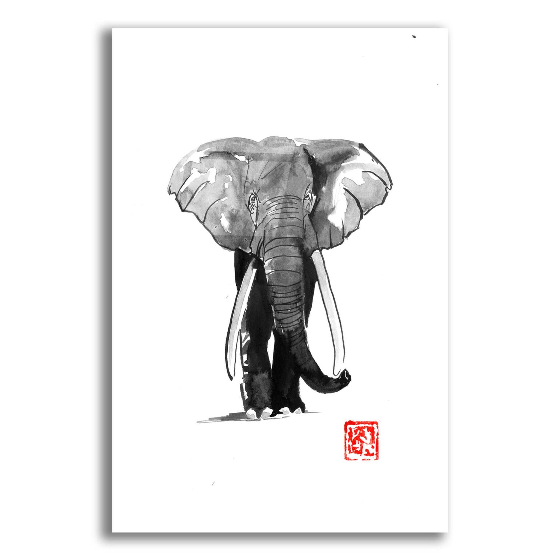 Epic Art 'Elephant 2' by Pechane, Acrylic Glass Wall Art,12x16