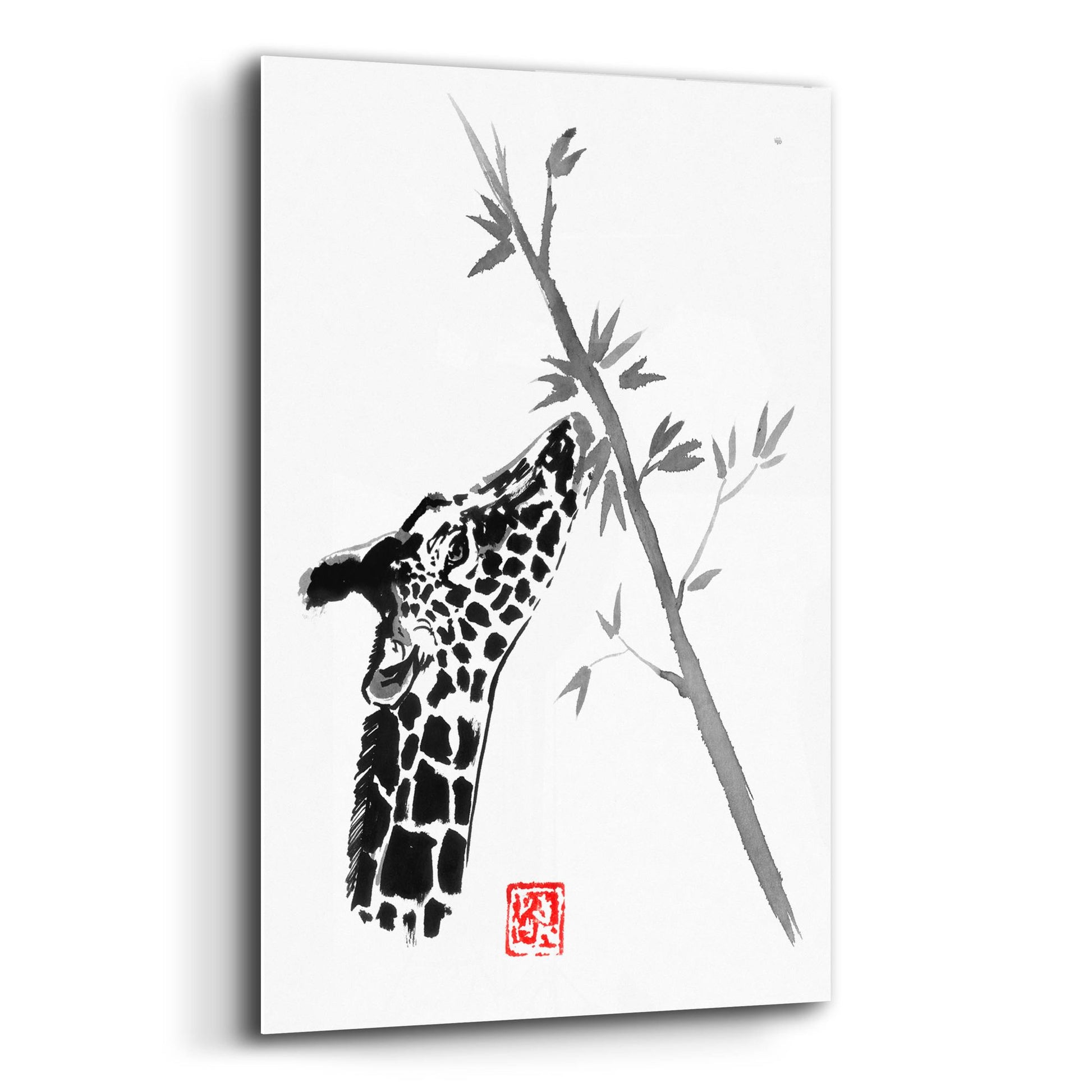 Epic Art 'Giraffe' by Pechane, Acrylic Glass Wall Art,12x16