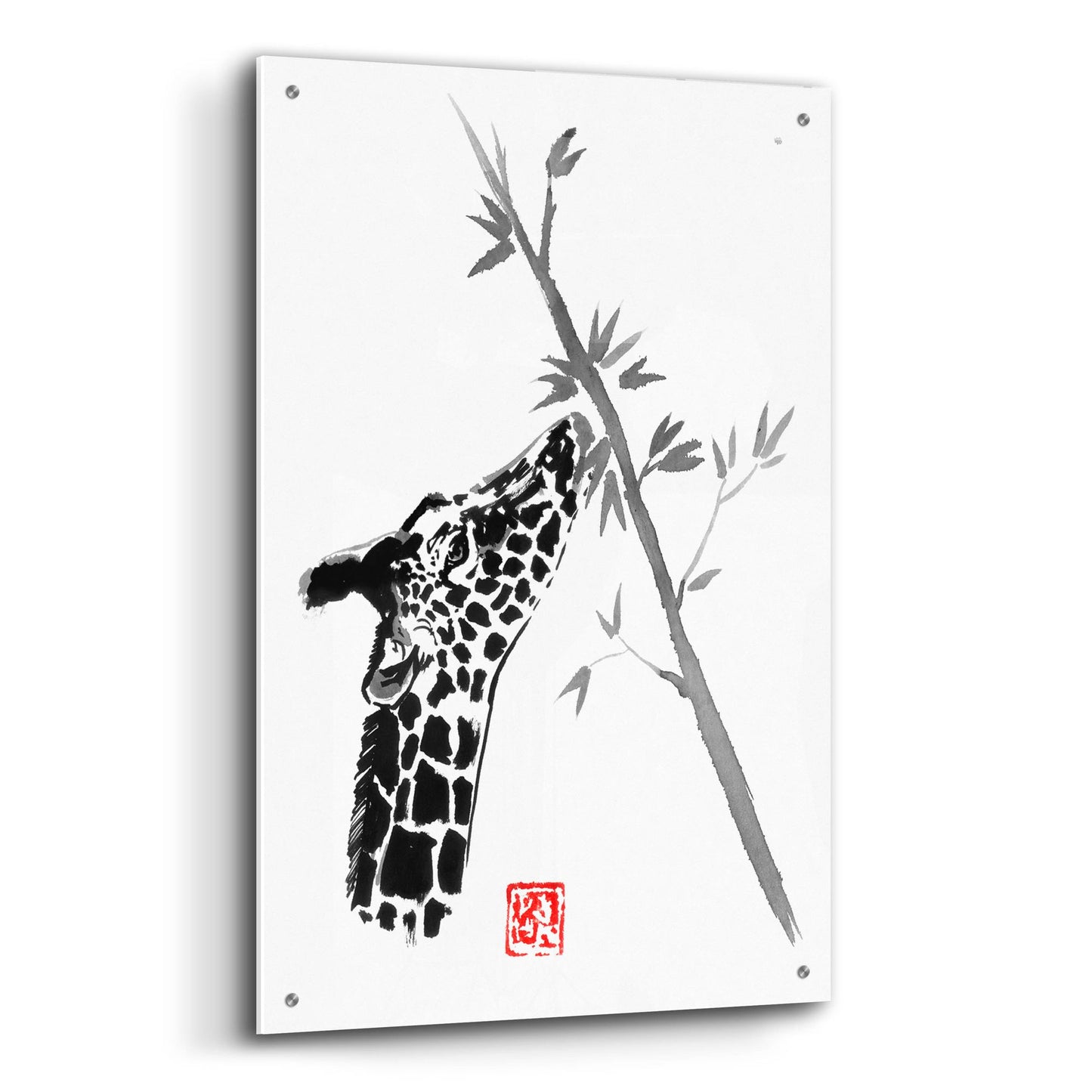 Epic Art 'Giraffe' by Pechane, Acrylic Glass Wall Art,24x36