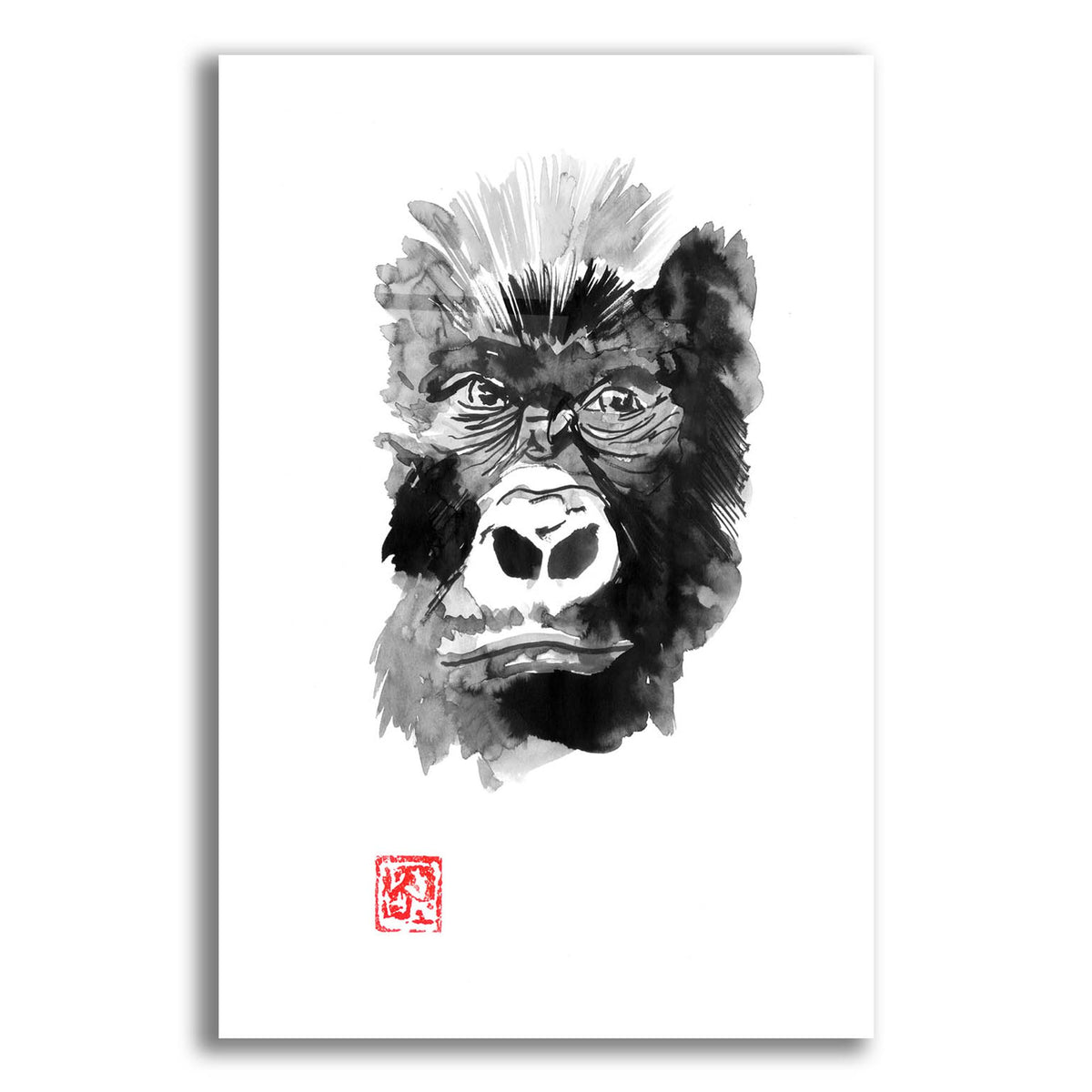 Epic Art 'Gorilla' by Pechane, Acrylic Glass Wall Art