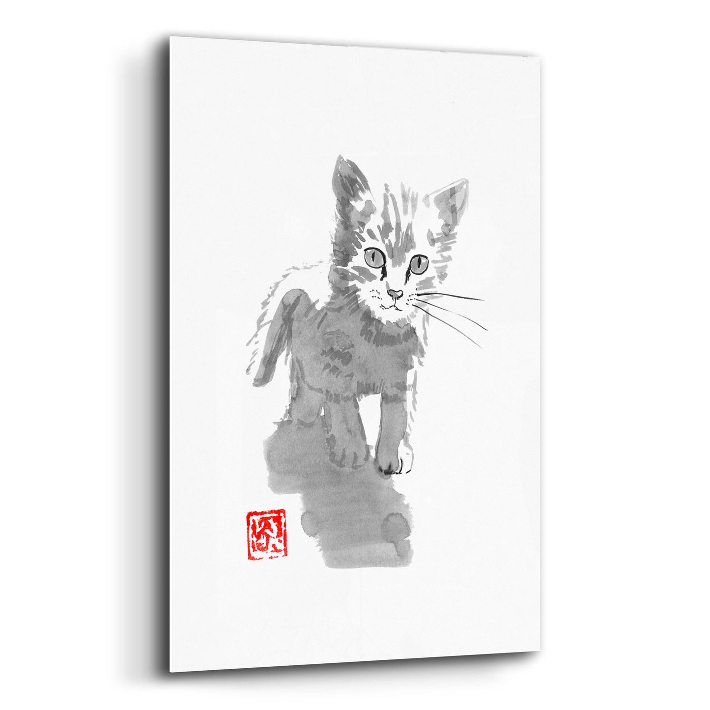 Epic Art 'Little Cat' by Pechane, Acrylic Glass Wall Art,12x16