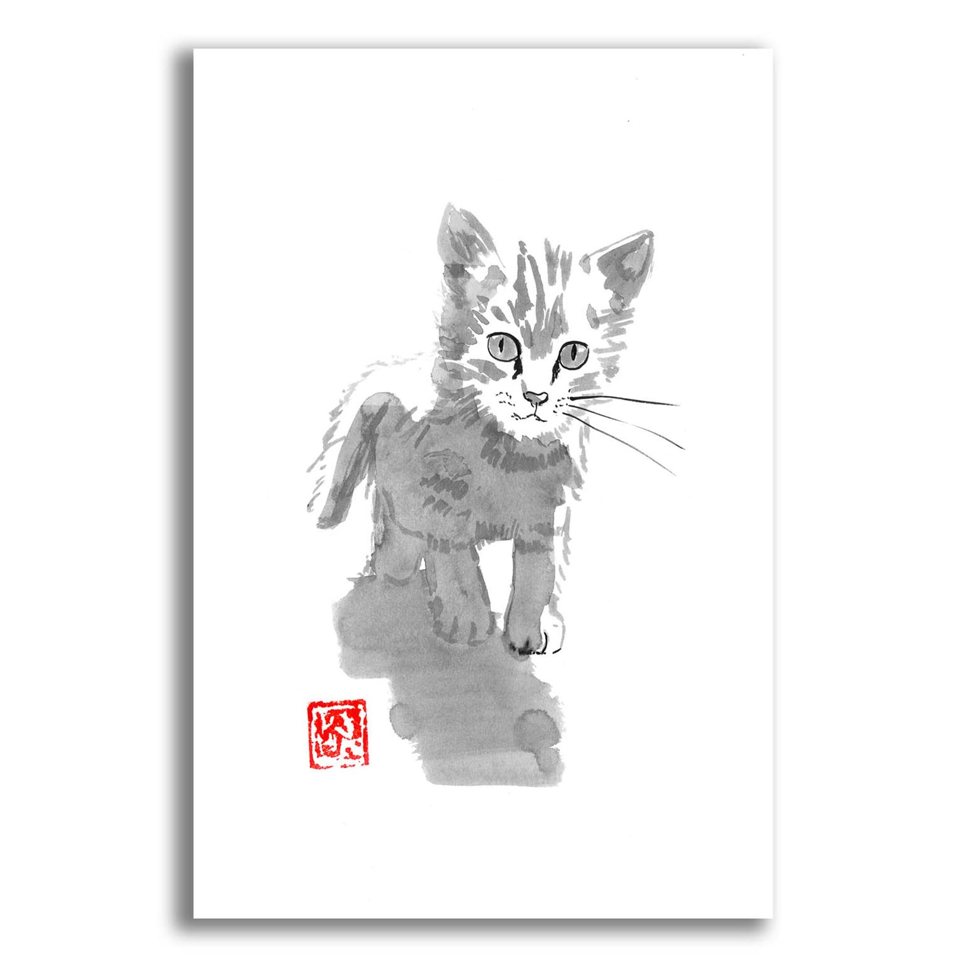 Epic Art 'Little Cat' by Pechane, Acrylic Glass Wall Art,12x16