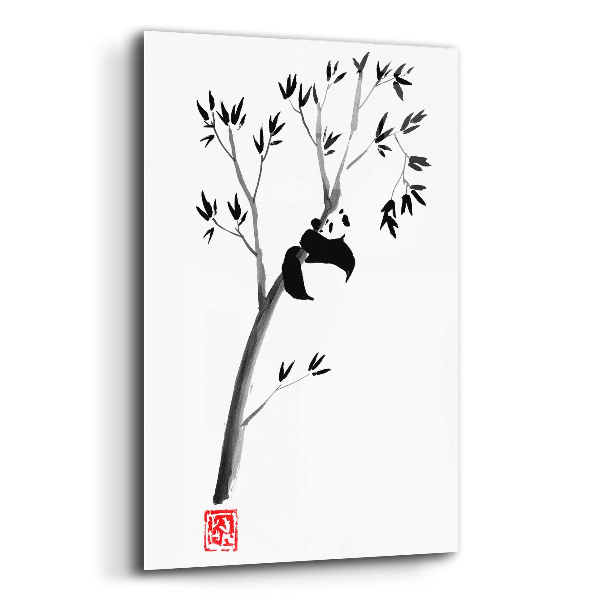 Epic Art 'Panda In The Tree' by Pechane, Acrylic Glass Wall Art,12x16