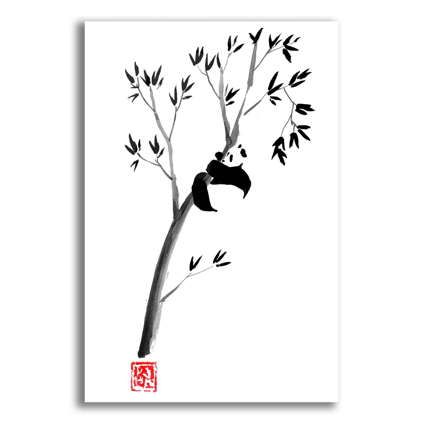 Epic Art 'Panda In The Tree' by Pechane, Acrylic Glass Wall Art,12x16