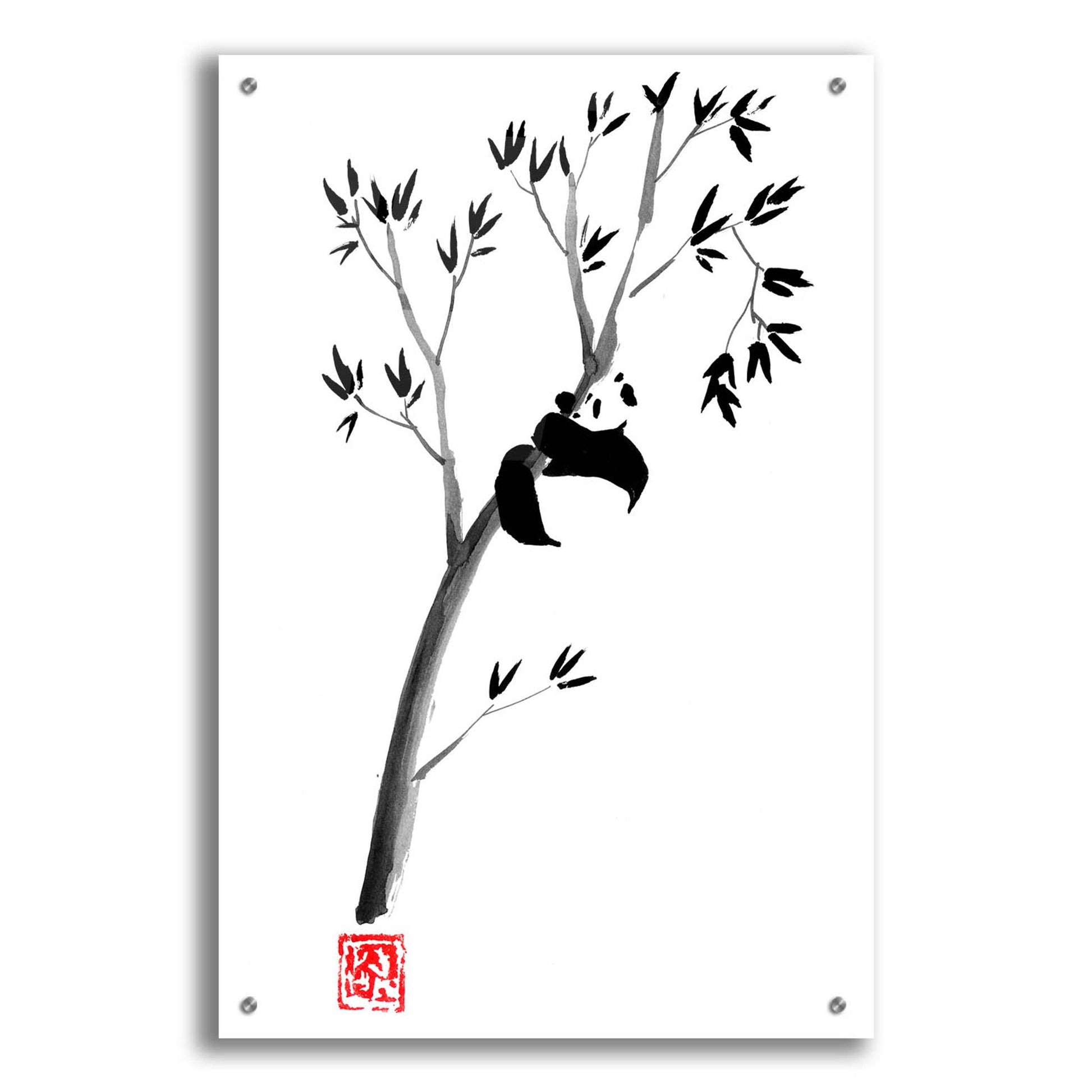 Epic Art 'Panda In The Tree' by Pechane, Acrylic Glass Wall Art,24x36