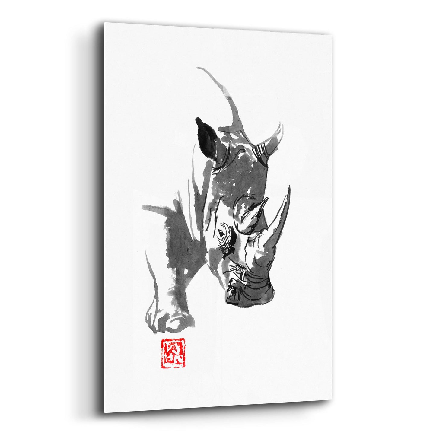 Epic Art 'Rhino' by Pechane, Acrylic Glass Wall Art,12x16