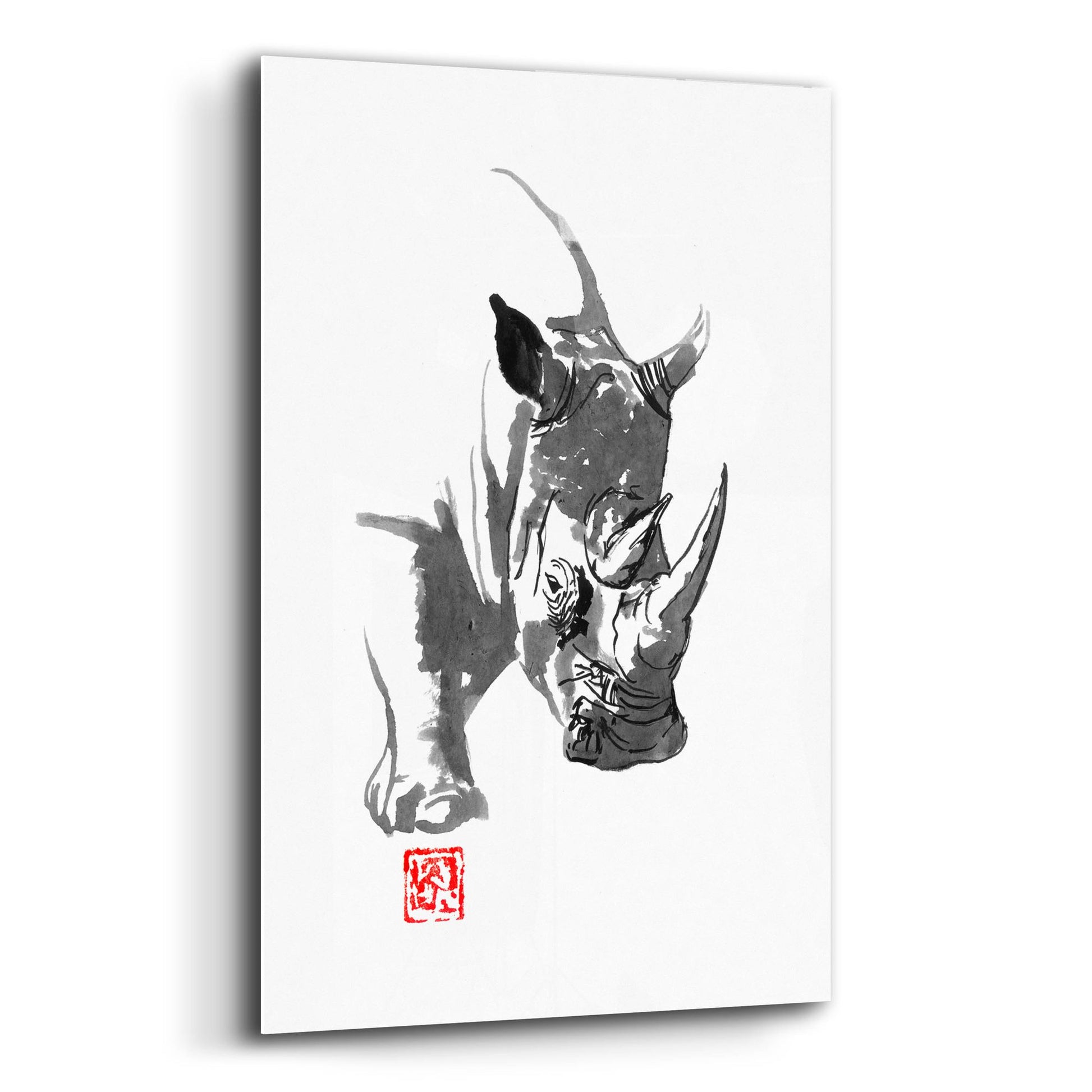 Epic Art 'Rhino' by Pechane, Acrylic Glass Wall Art,12x16