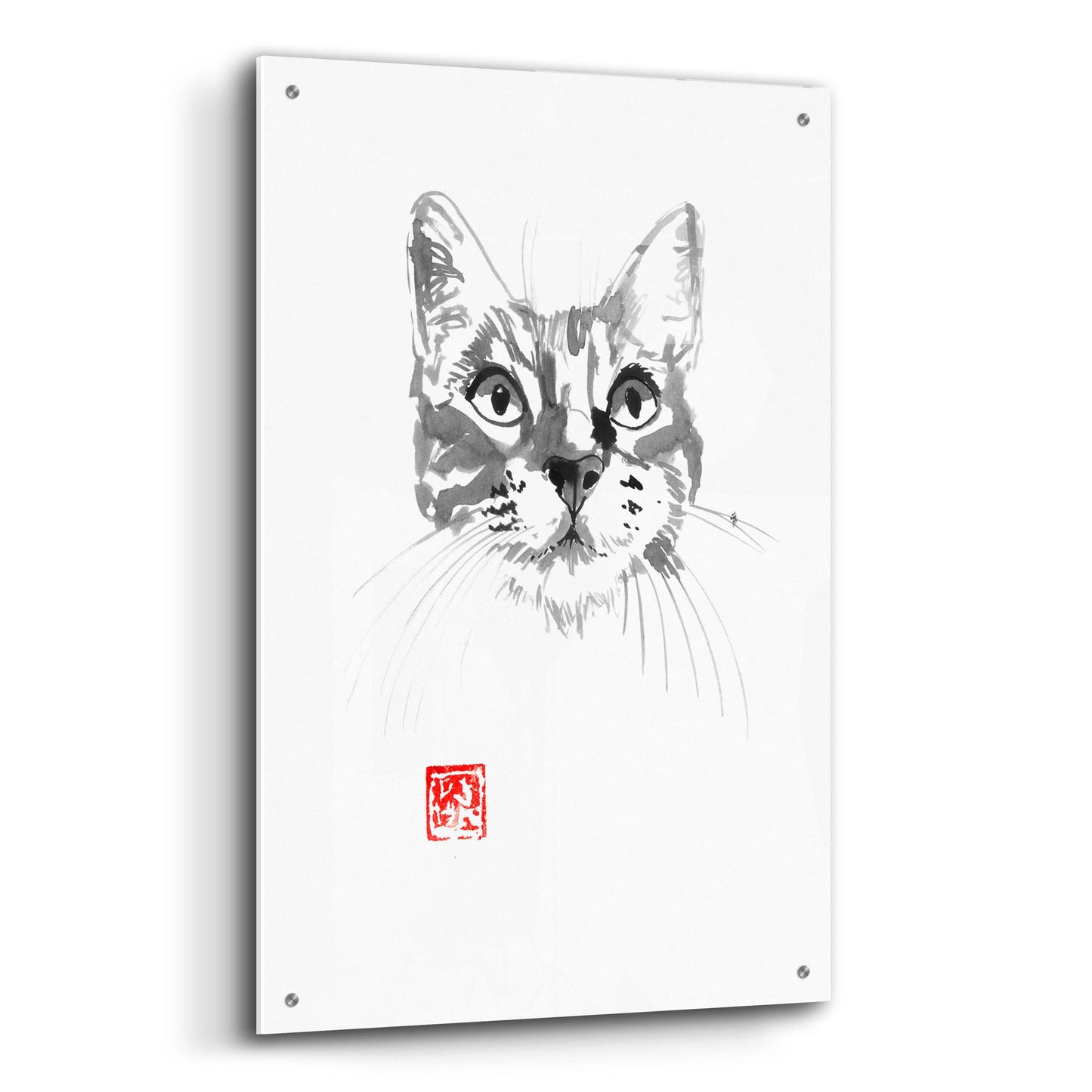 Epic Art 'Cat Face 2' by Pechane, Acrylic Glass Wall Art,24x36