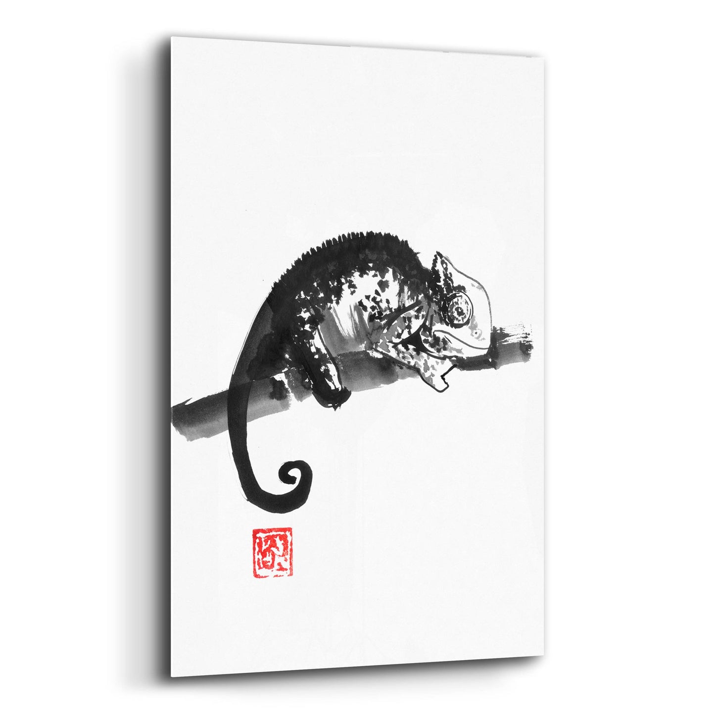 Epic Art 'Chameleon' by Pechane, Acrylic Glass Wall Art,12x16