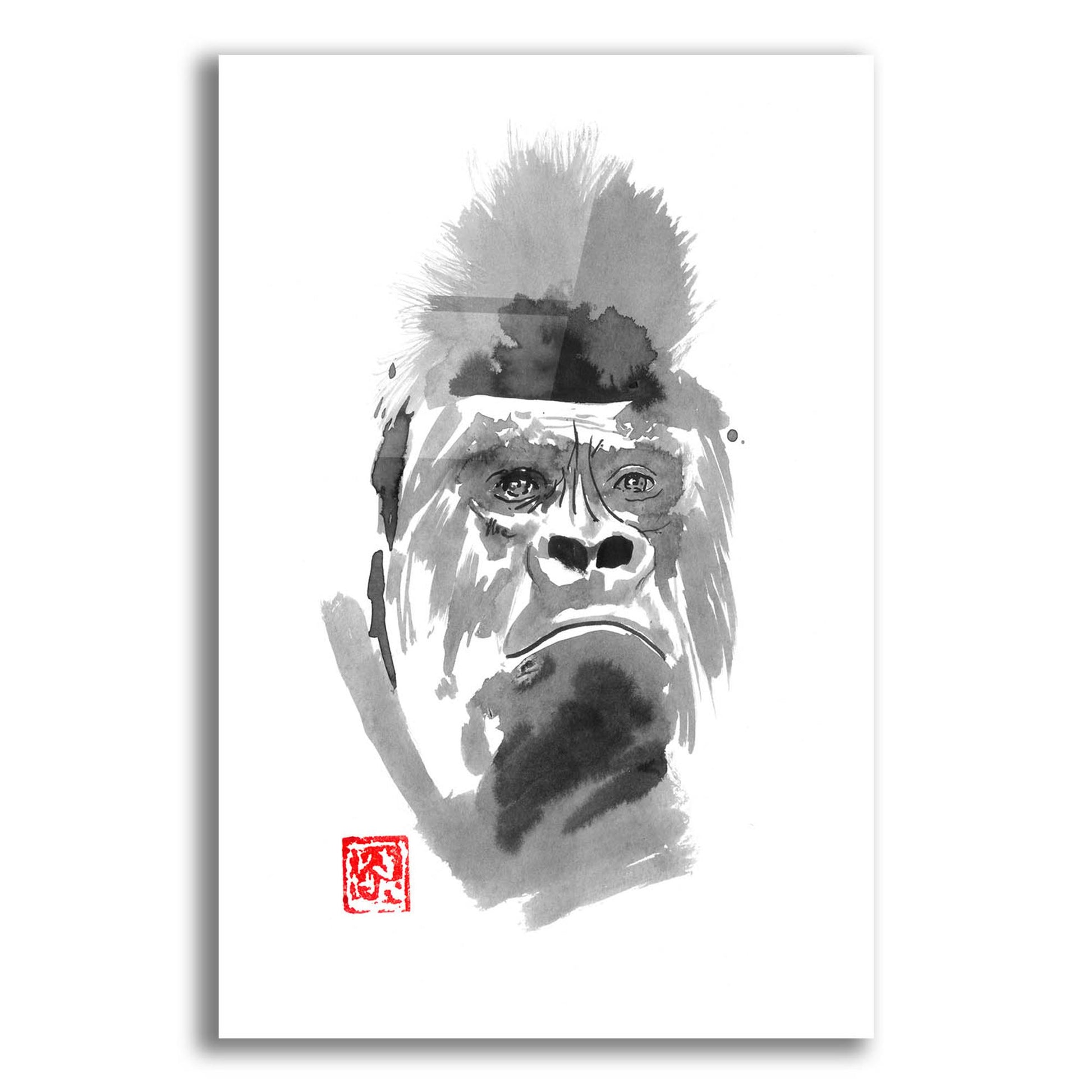 Epic Art 'Gorilla 2' by Pechane, Acrylic Glass Wall Art,16x24