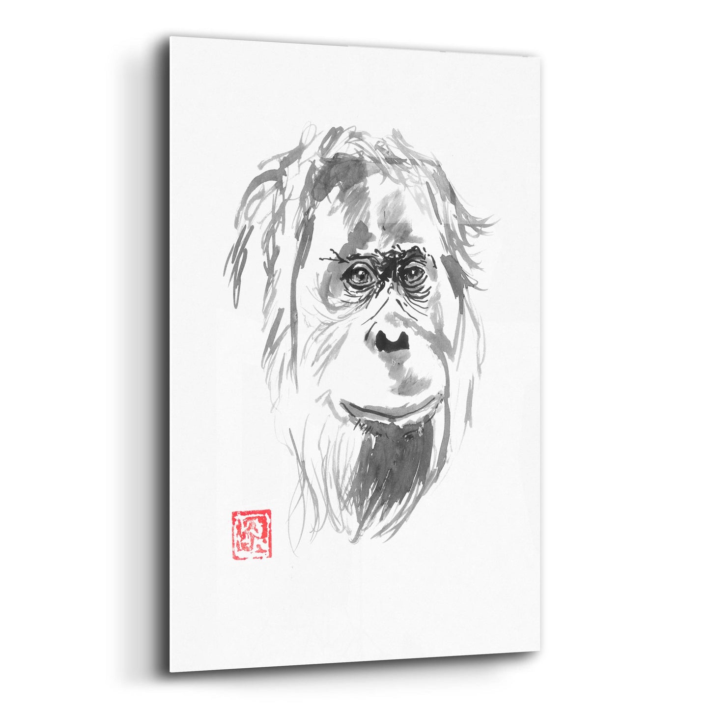 Epic Art 'Orangutan 02' by Pechane, Acrylic Glass Wall Art,12x16