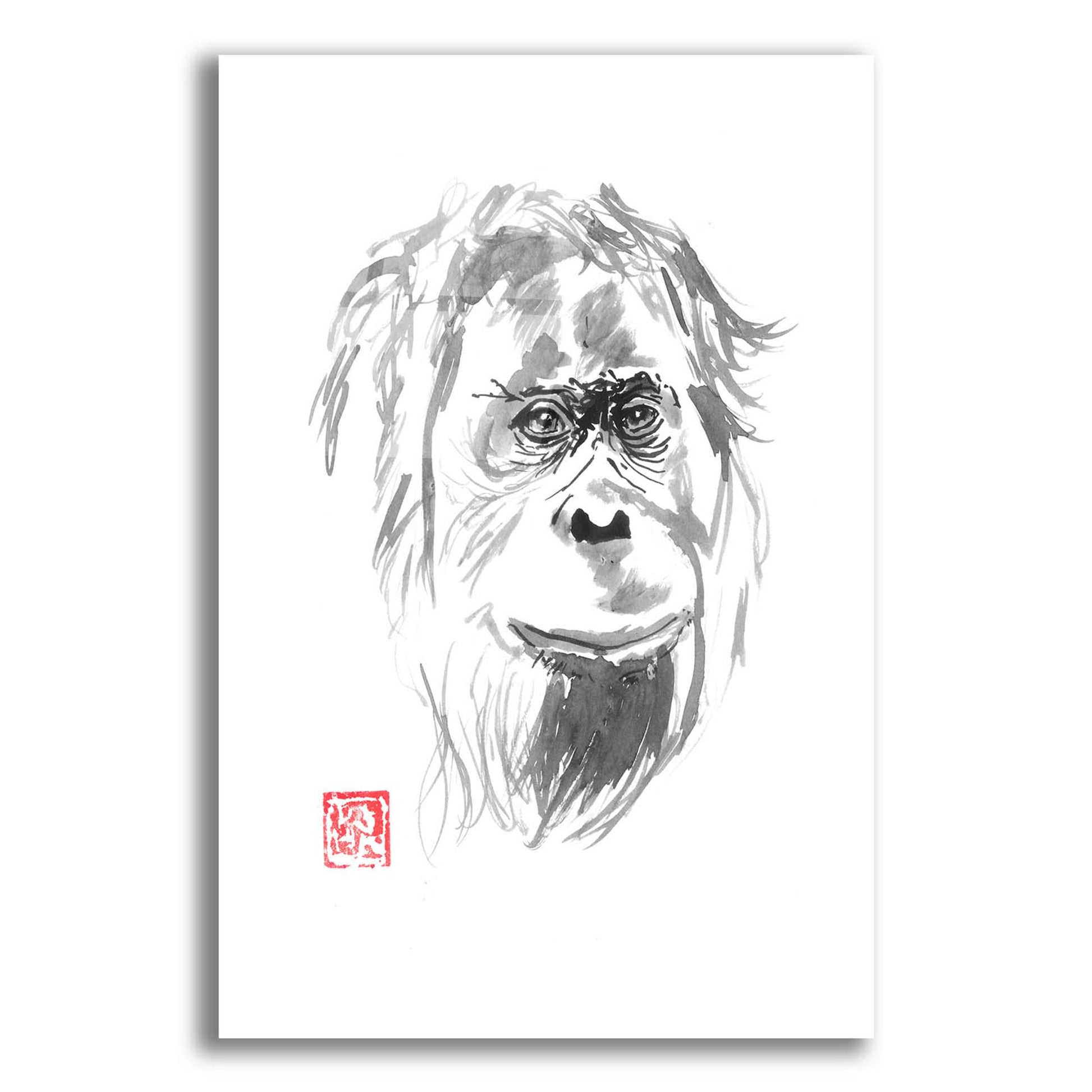 Epic Art 'Orangutan 02' by Pechane, Acrylic Glass Wall Art,12x16