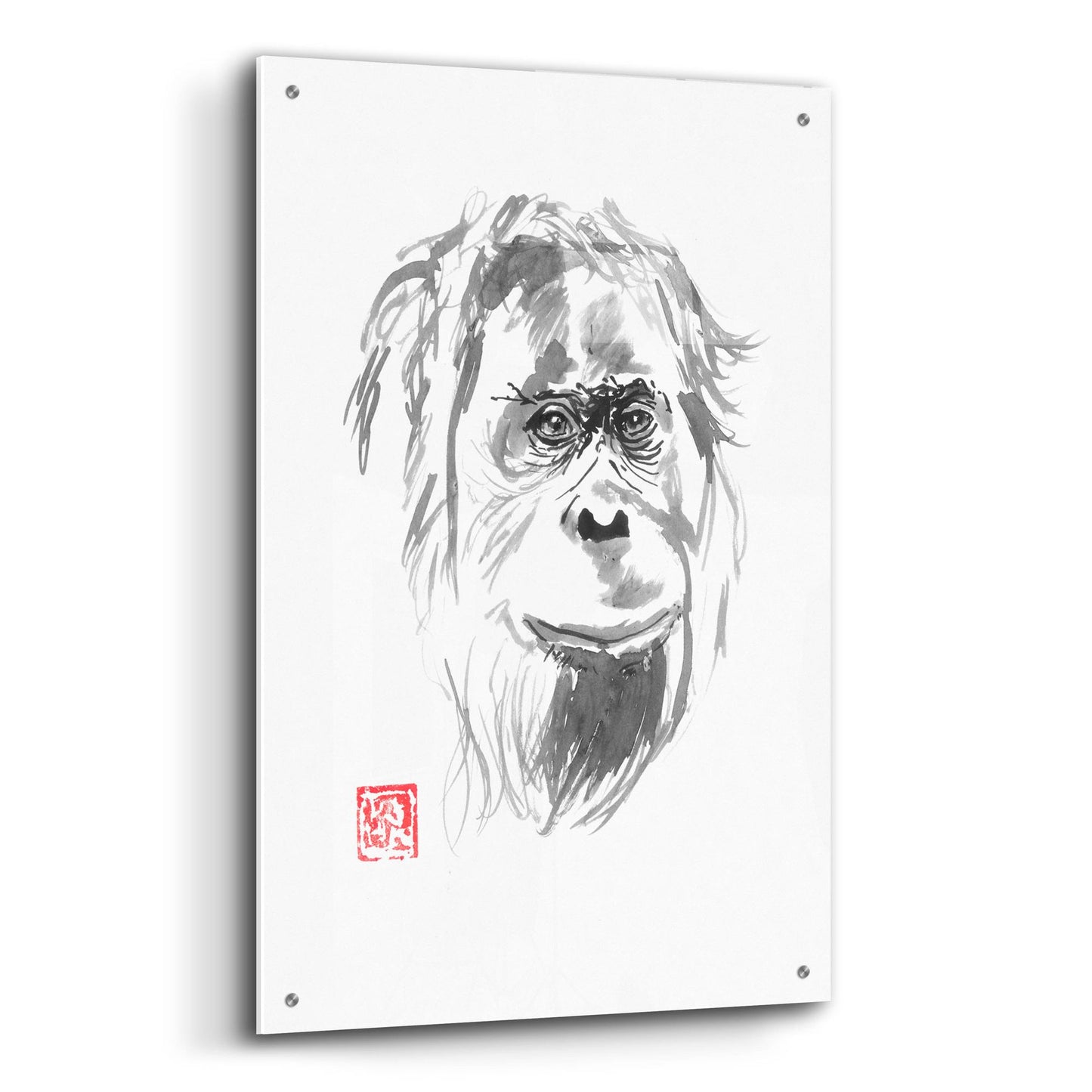 Epic Art 'Orangutan 02' by Pechane, Acrylic Glass Wall Art,24x36