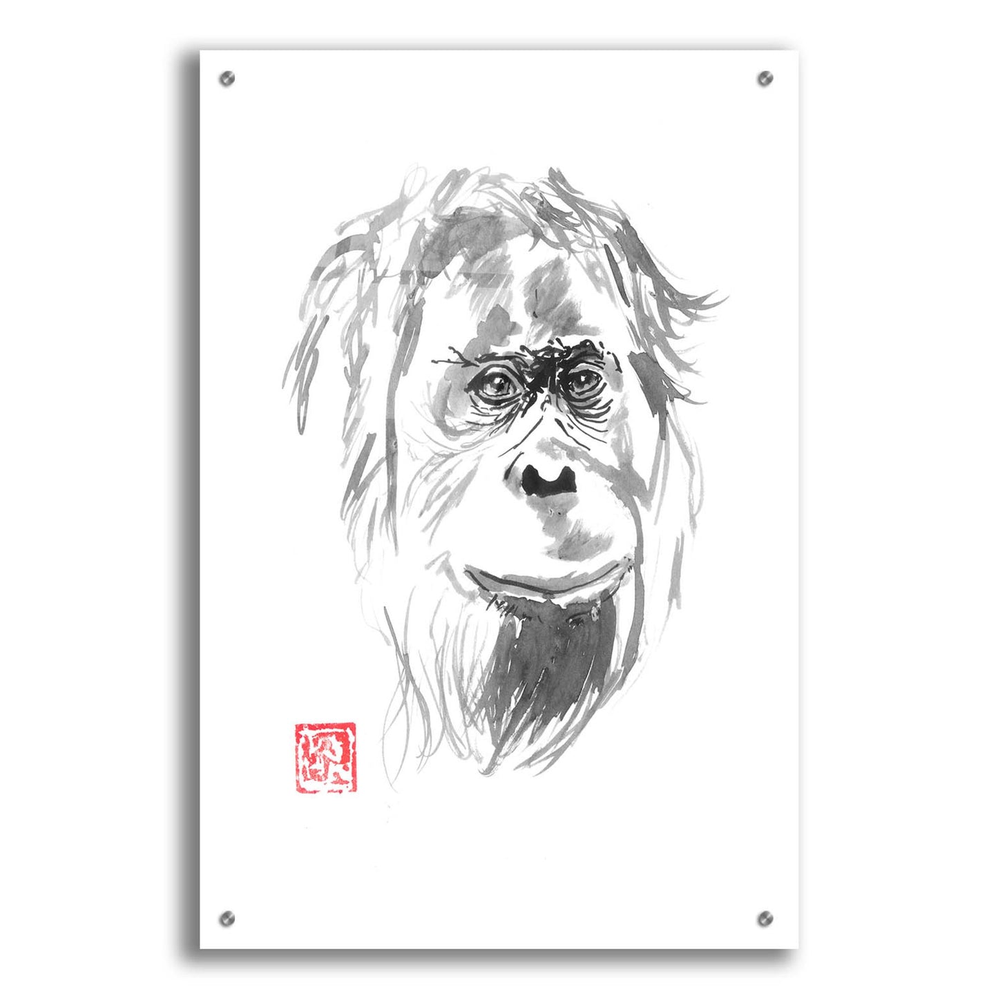 Epic Art 'Orangutan 02' by Pechane, Acrylic Glass Wall Art,24x36