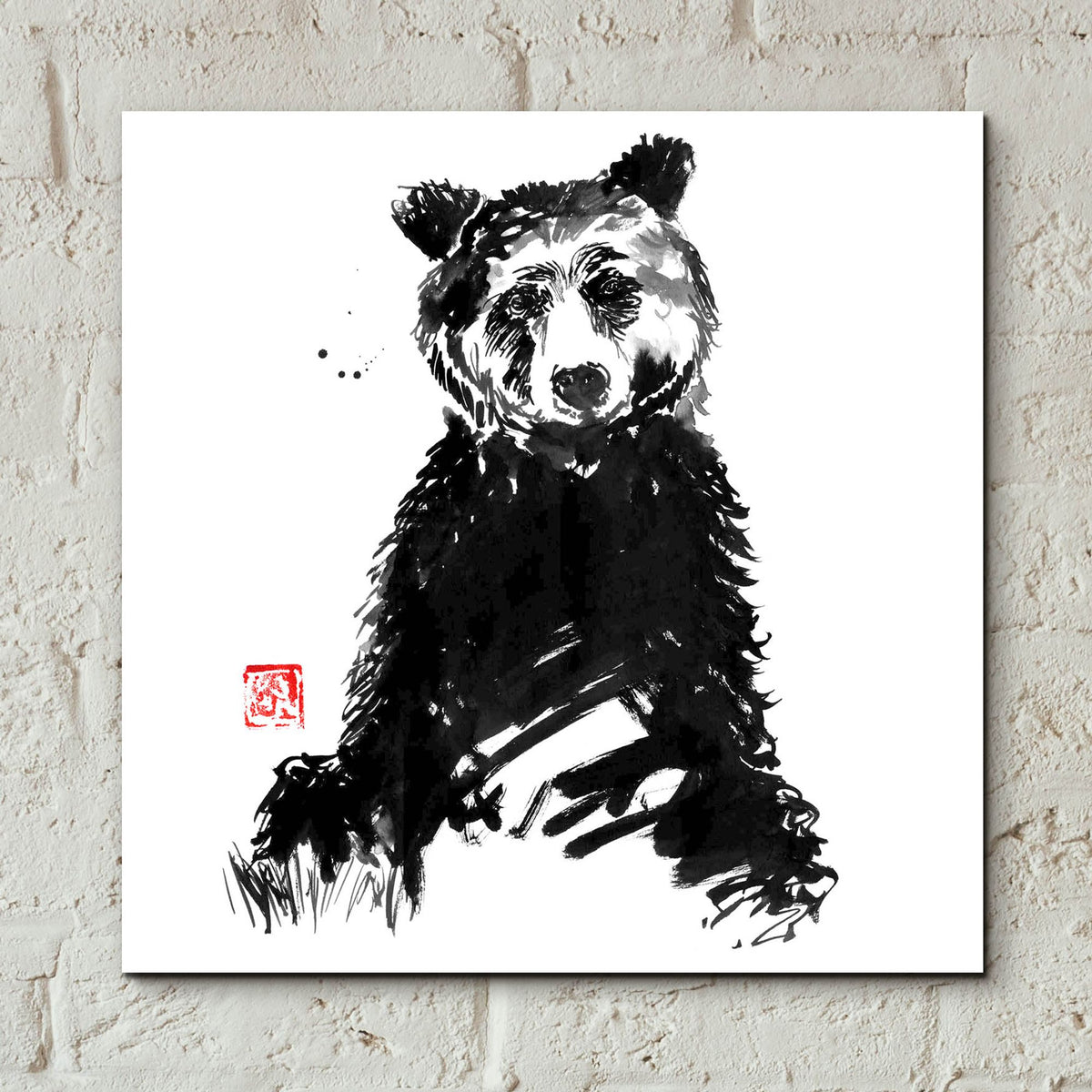 Epic Art 'Bear 2' by Pechane, Acrylic Glass Wall Art,12x12