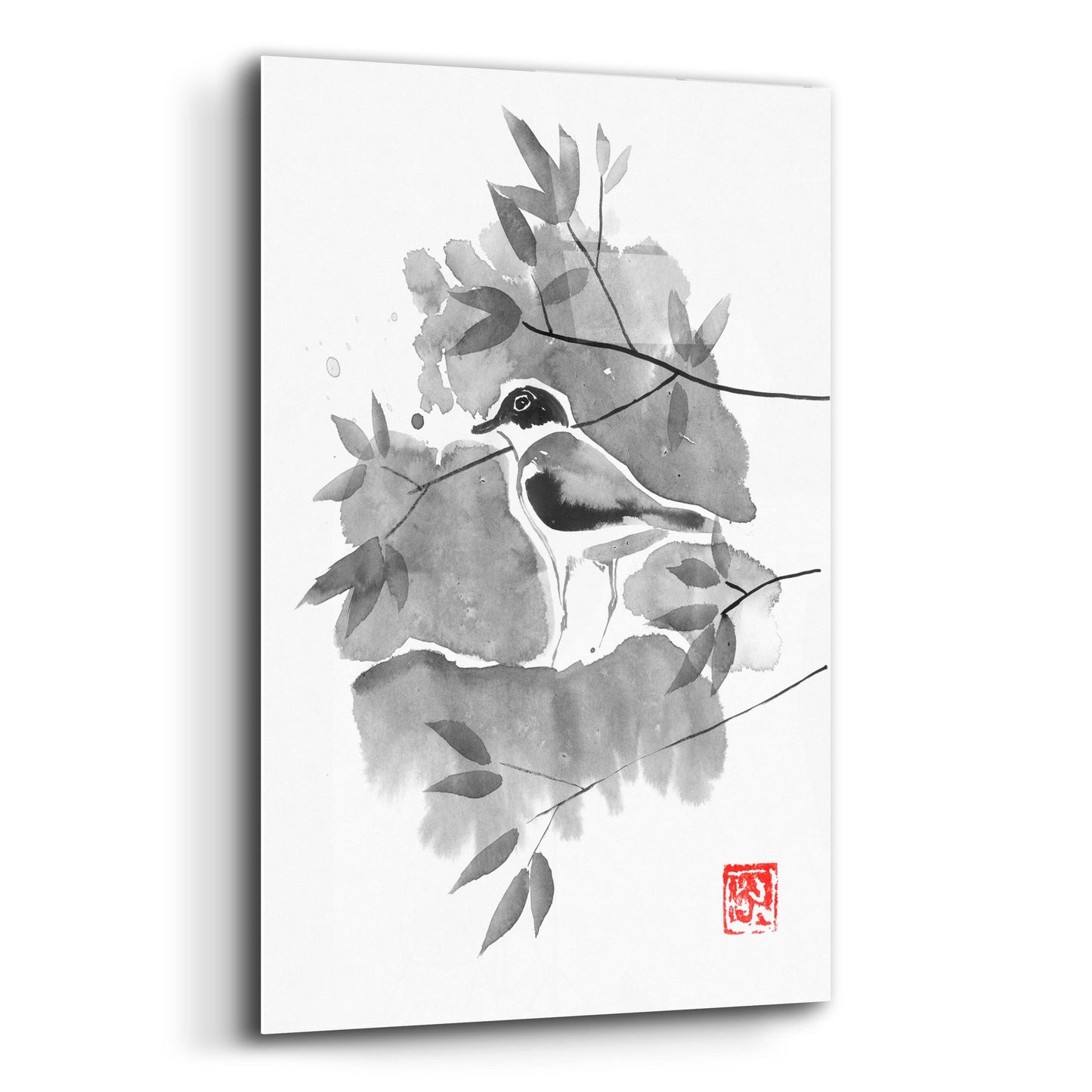 Epic Art 'Bird 01' by Pechane, Acrylic Glass Wall Art,12x16