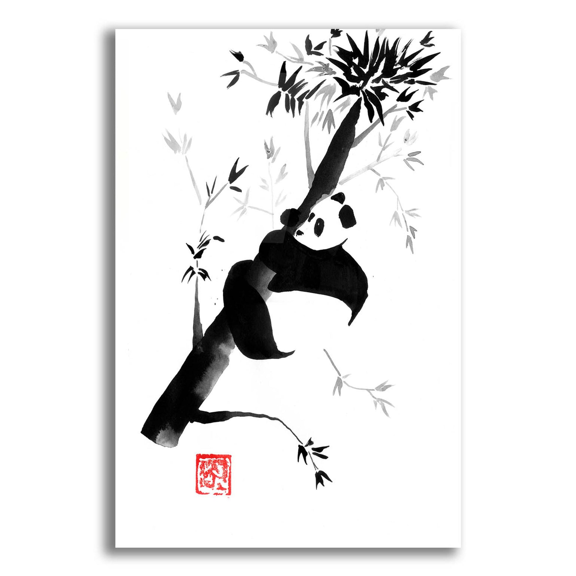 Epic Art 'Panda In His Tree 04' by Pechane, Acrylic Glass Wall Art,12x16