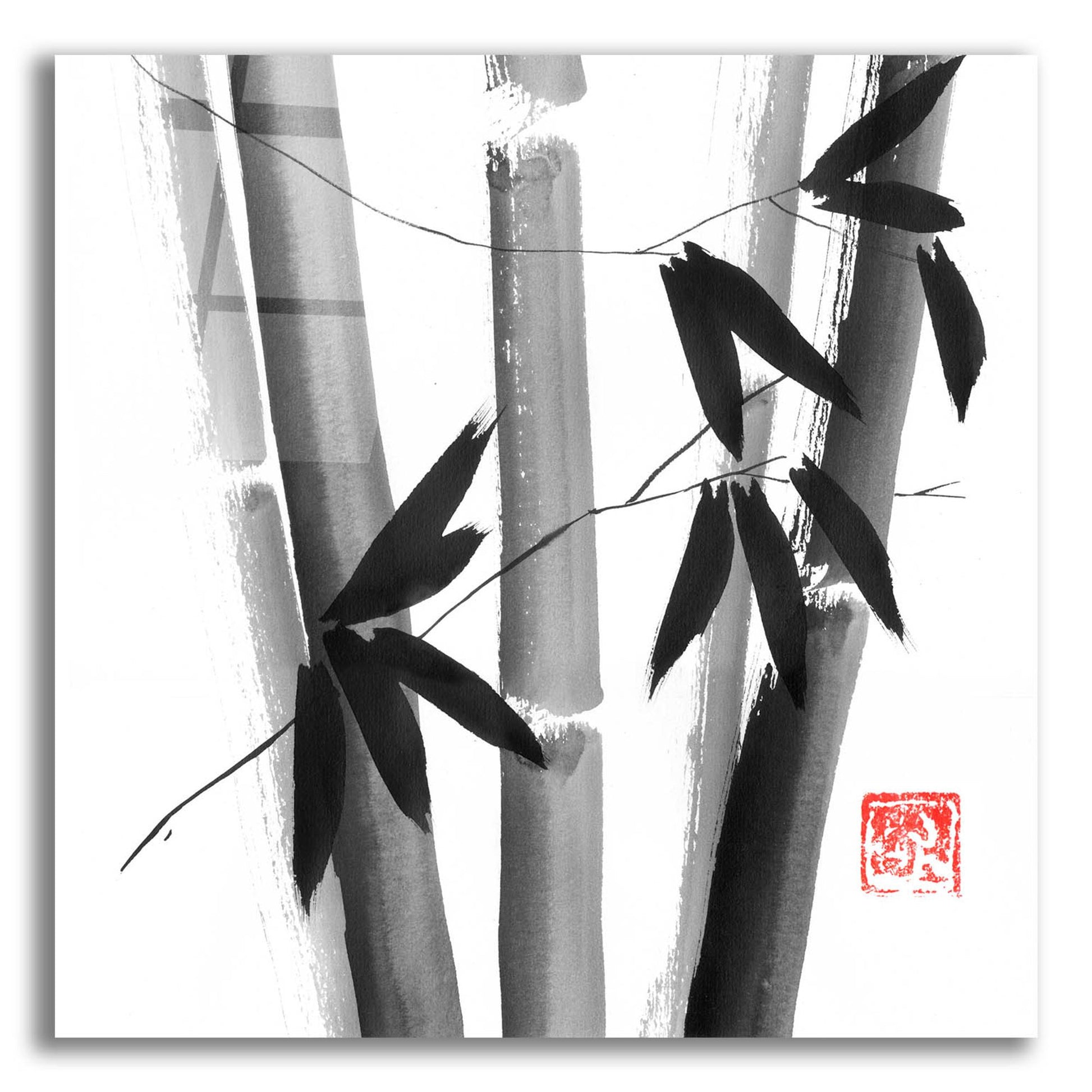 Epic Art 'Bamboo Carre 01' by Pechane, Acrylic Glass Wall Art,12x12