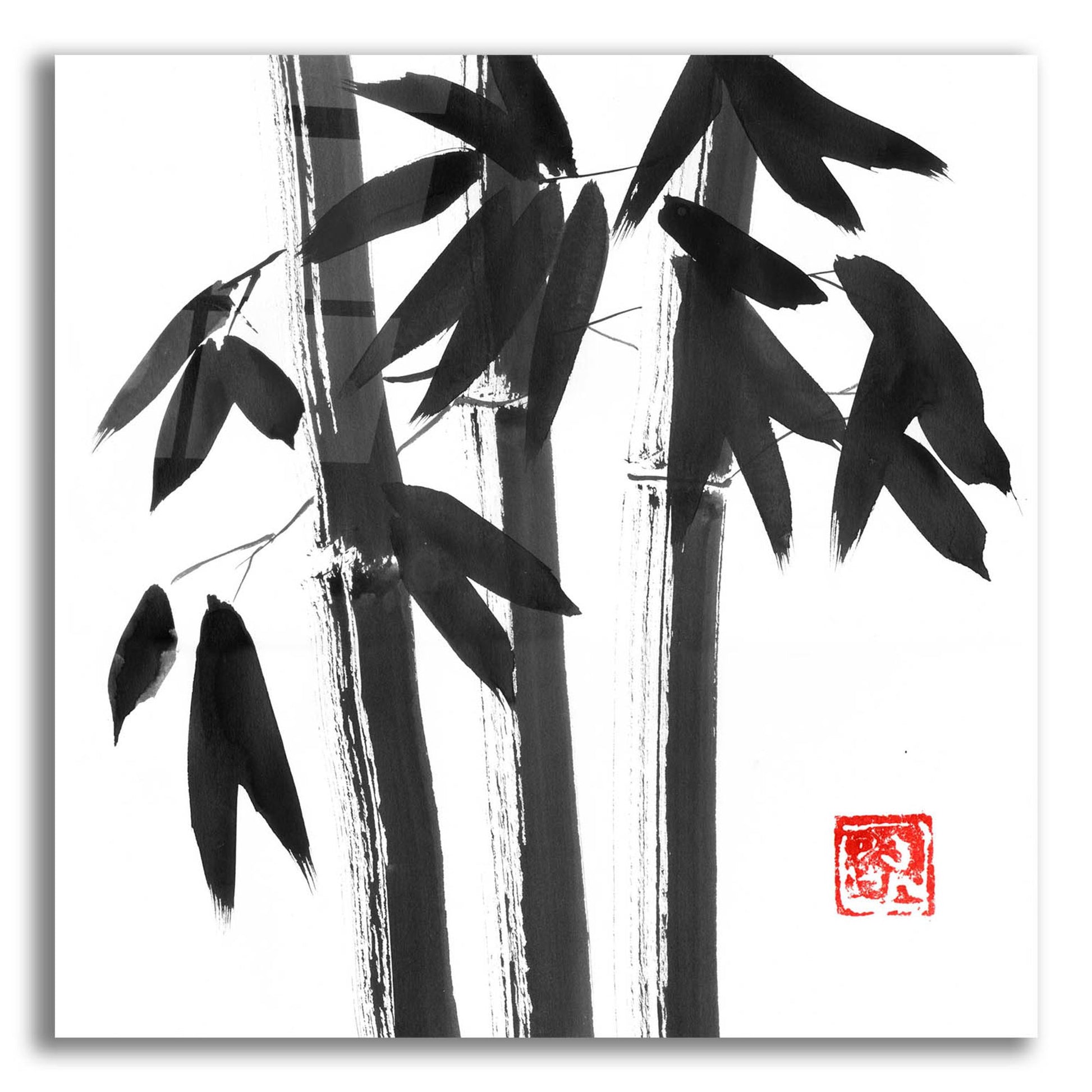 Epic Art 'Bamboo Carre 02' by Pechane, Acrylic Glass Wall Art,12x12