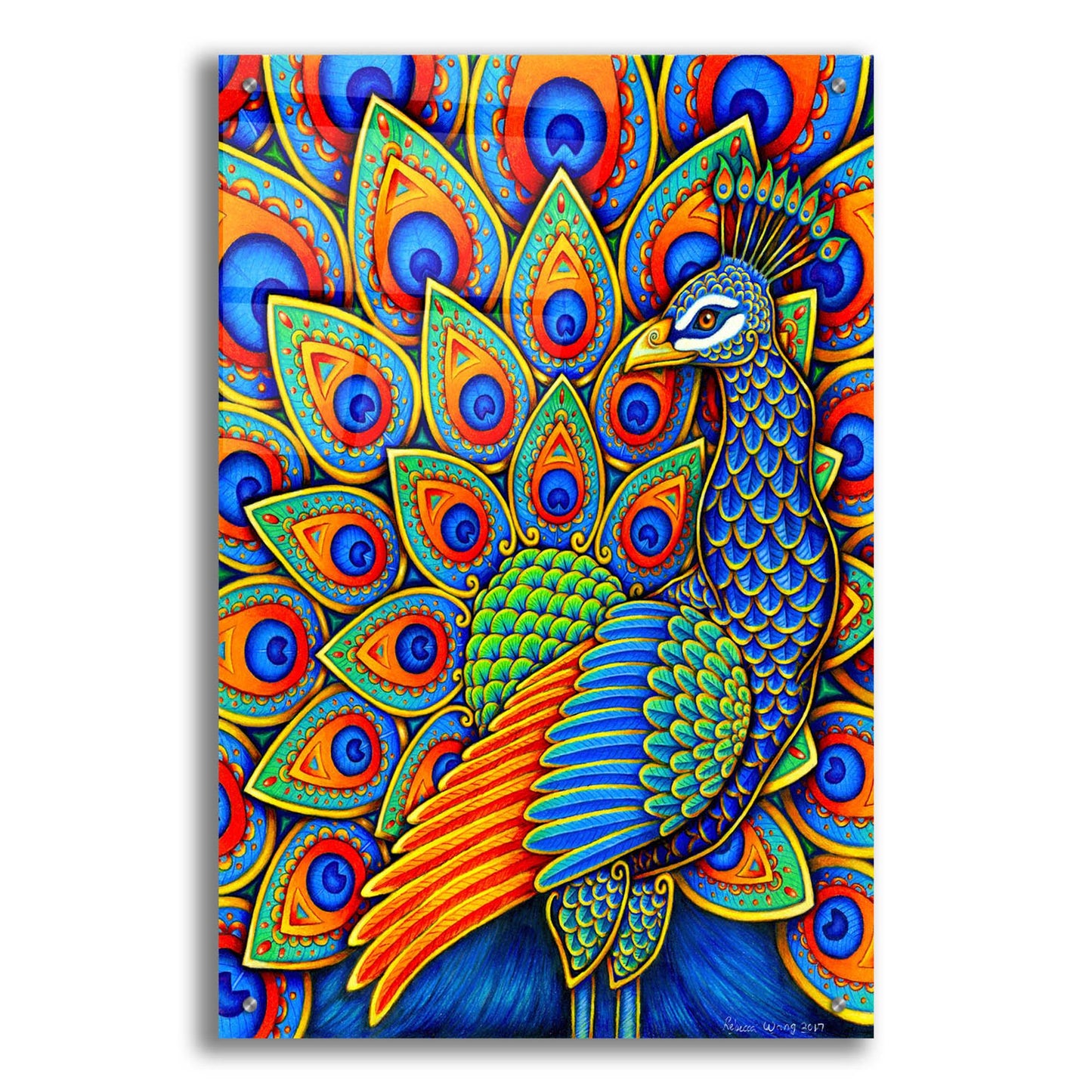 Epic Art 'Colorful Paisley Peacock' by Rebecca Wang Art, Acrylic Glass Wall Art