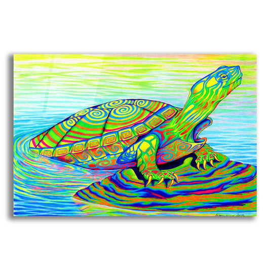 Epic Art 'Painted Turtle' by Rebecca Wang Art, Acrylic Glass Wall Art
