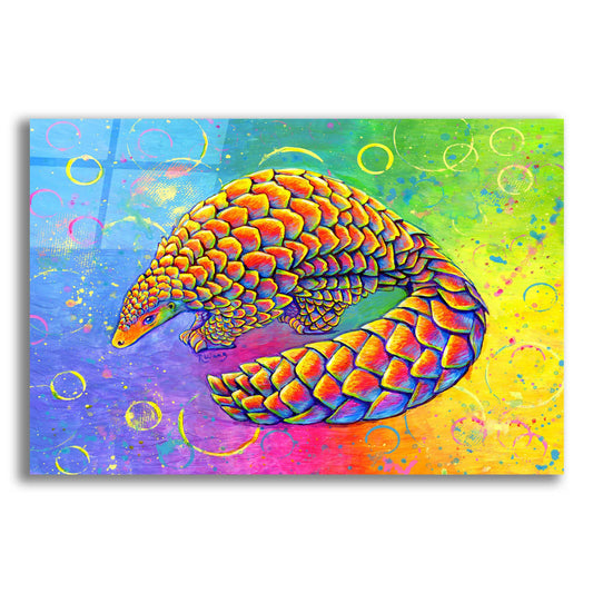 Epic Art 'Psychedelic Pangolin' by Rebecca Wang Art, Acrylic Glass Wall Art