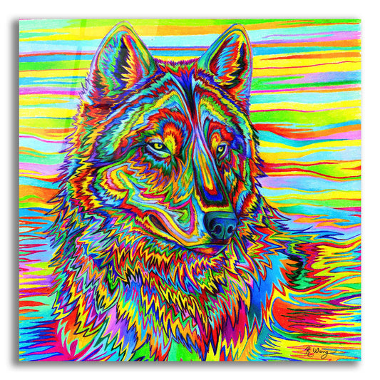 Epic Art 'Psychedelic Wolf' by Rebecca Wang Art, Acrylic Glass Wall Art