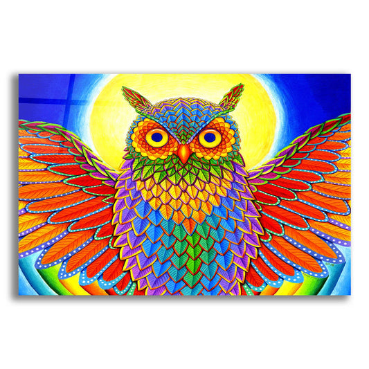 Epic Art 'Rainbow Owl' by Rebecca Wang Art, Acrylic Glass Wall Art