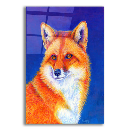 Epic Art 'Colorful Red Fox' by Rebecca Wang Art, Acrylic Glass Wall Art