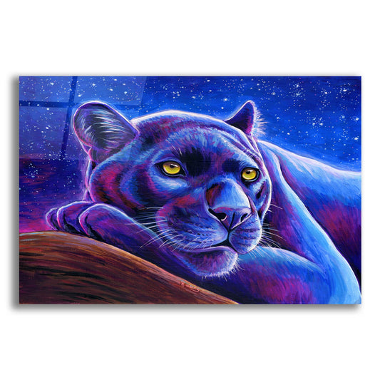 Epic Art 'Stargazing Colorful Black Leopard' by Rebecca Wang Art, Acrylic Glass Wall Art