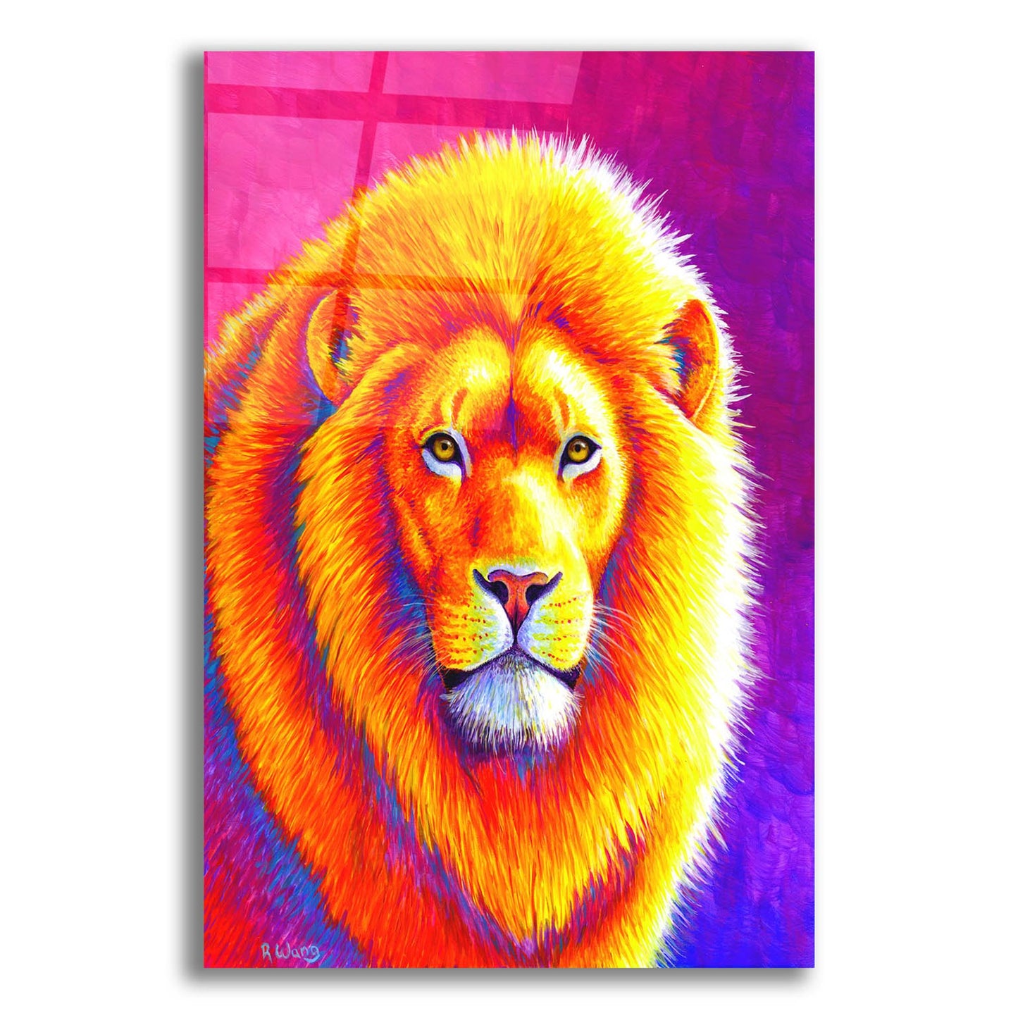 Epic Art 'Sunset on the Savanna African Lion' by Rebecca Wang Art, Acrylic Glass Wall Art