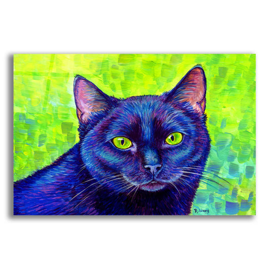 Epic Art 'Black Cat With Chartreuse Eyes' by Rebecca Wang Art, Acrylic Glass Wall Art