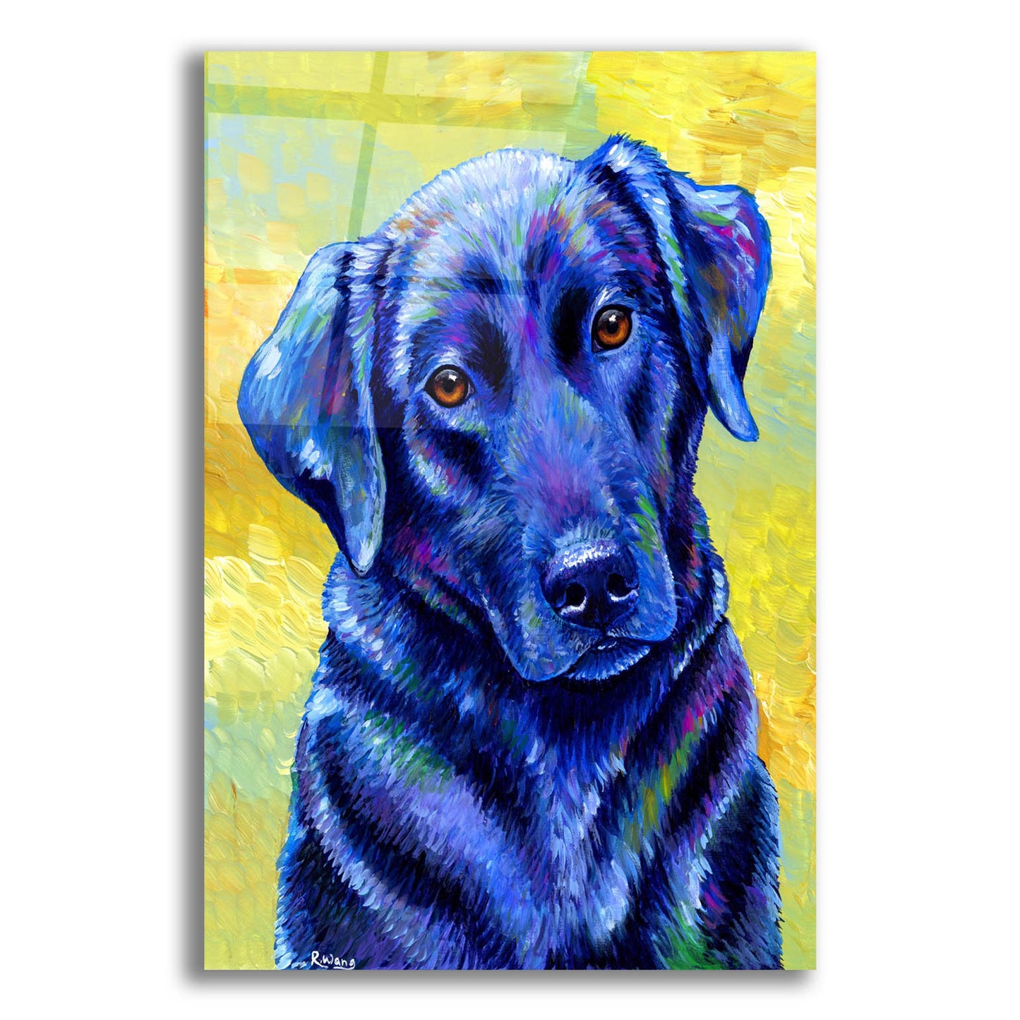 Epic Art 'Black Labrador Retriever' by Rebecca Wang Art, Acrylic Glass Wall Art