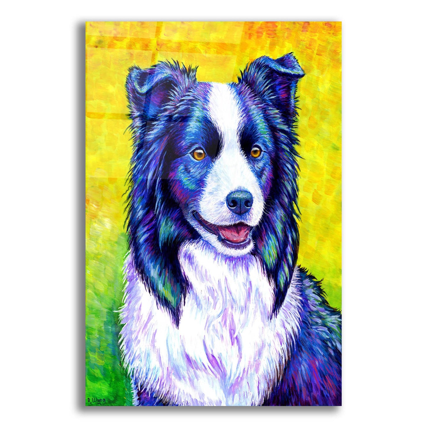 Epic Art 'Border Collie' by Rebecca Wang Art, Acrylic Glass Wall Art