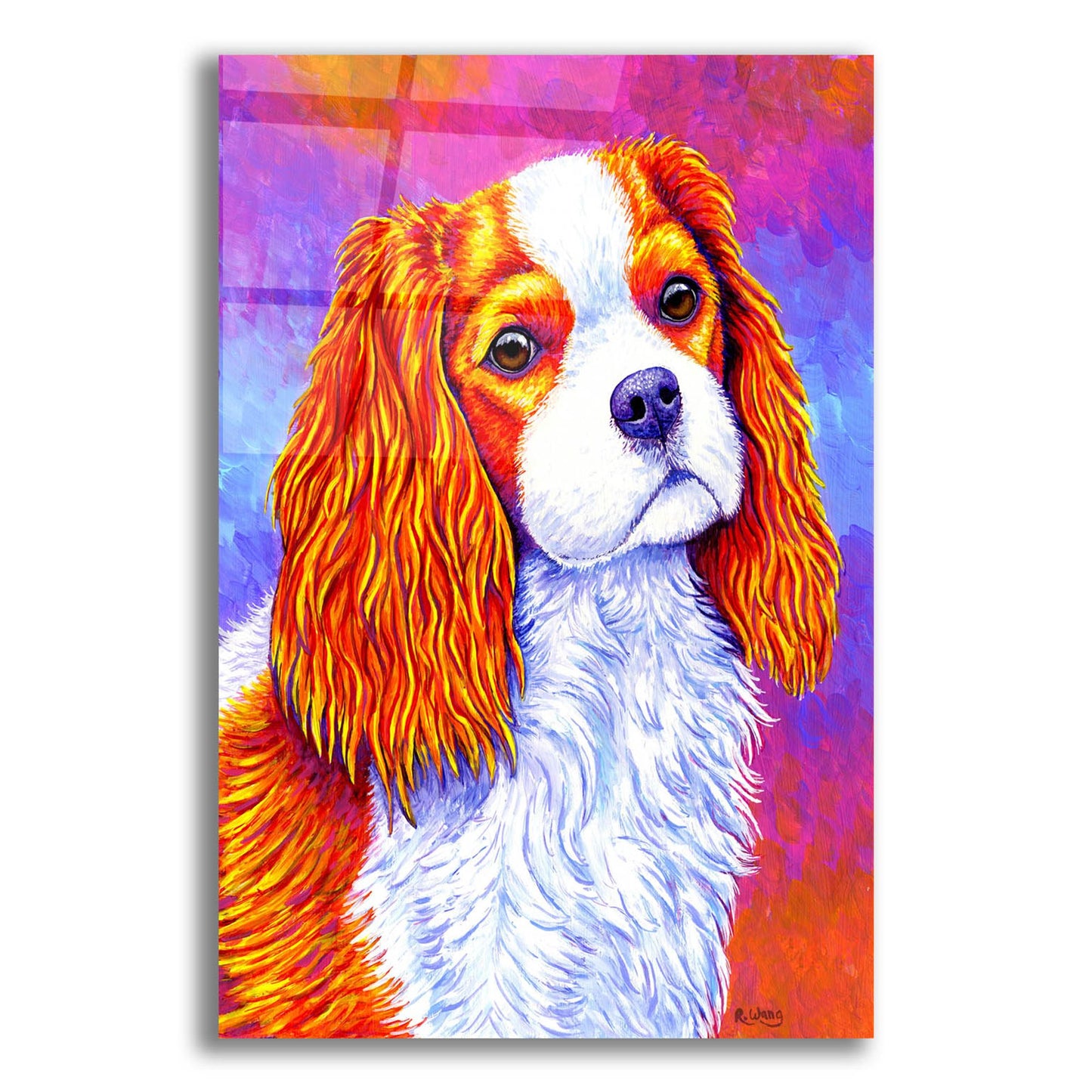 Epic Art 'Cavalier King Charles Spaniel' by Rebecca Wang Art, Acrylic Glass Wall Art