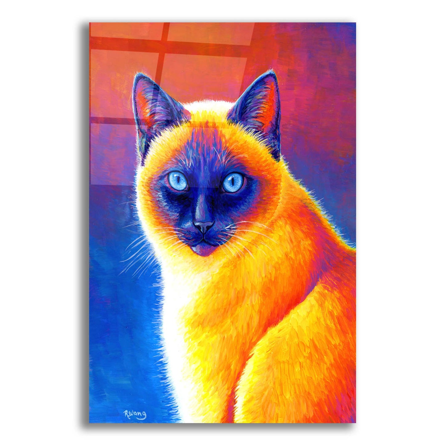 Epic Art 'Colorful Siamese Cat' by Rebecca Wang Art, Acrylic Glass Wall Art