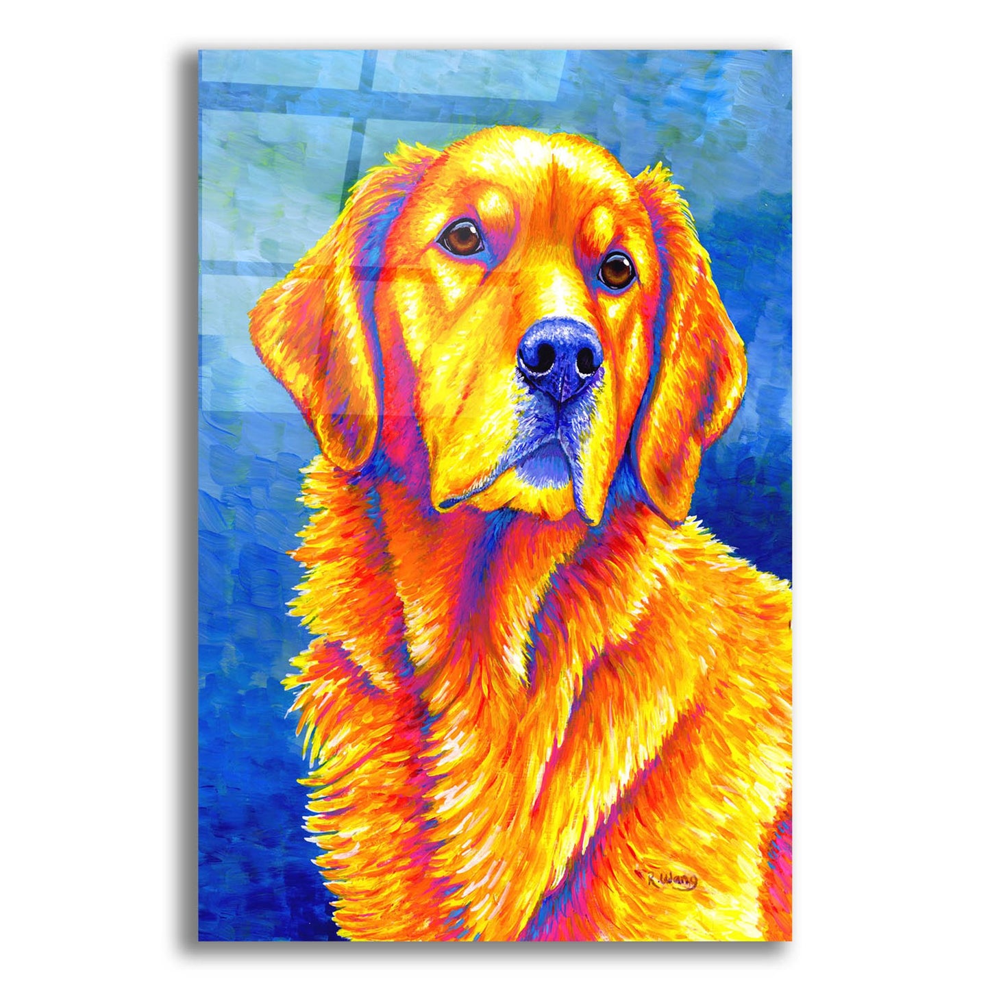 Epic Art 'Golden Retriever' by Rebecca Wang Art, Acrylic Glass Wall Art