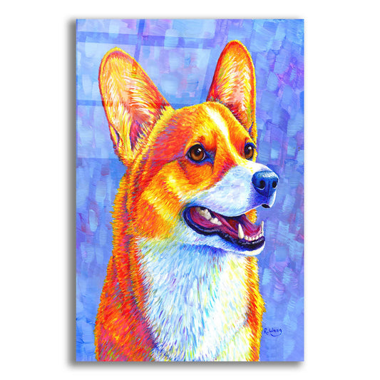 Epic Art 'Pembroke Welsh Corgi' by Rebecca Wang Art, Acrylic Glass Wall Art