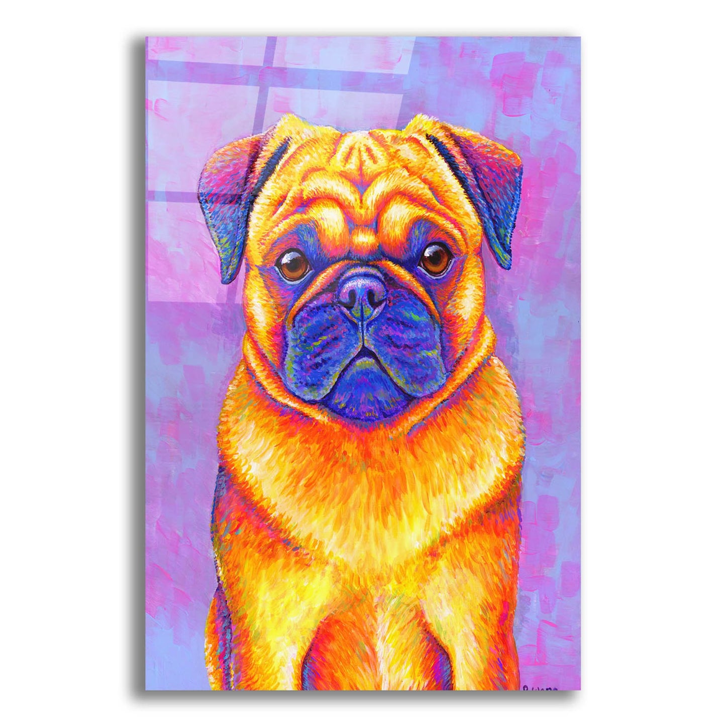 Epic Art 'Pug' by Rebecca Wang Art, Acrylic Glass Wall Art