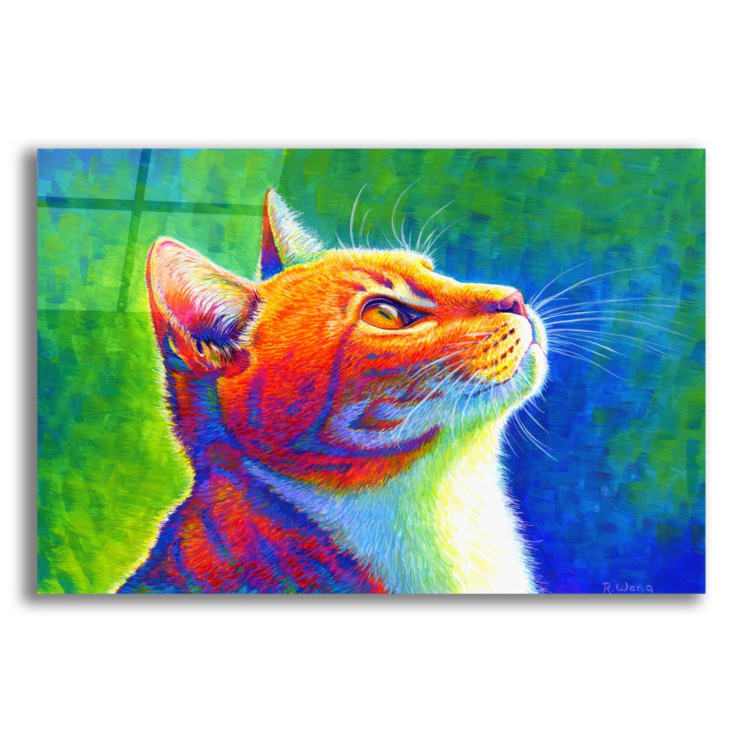 Epic Art 'Rainbow Cat' by Rebecca Wang Art, Acrylic Glass Wall Art