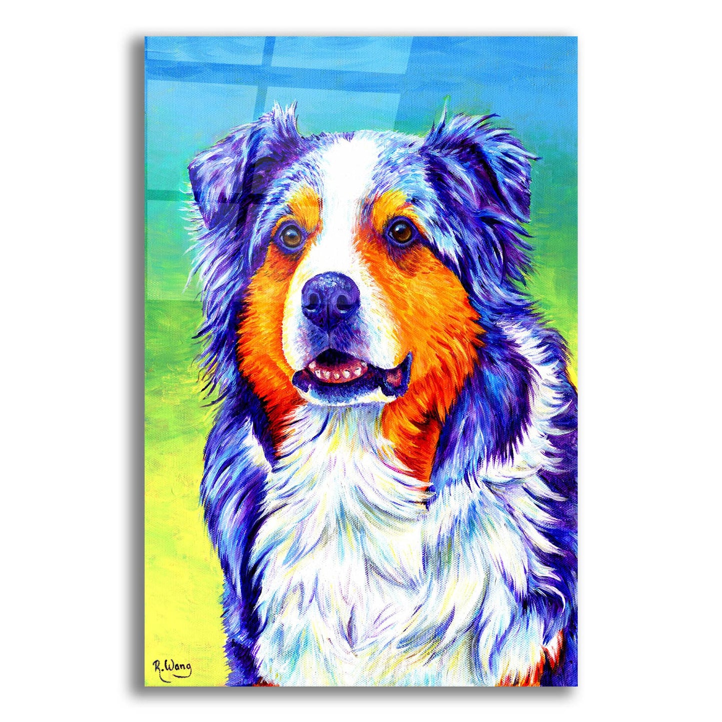 Epic Art 'Blue Merle Australian Shepherd' by Rebecca Wang Art, Acrylic Glass Wall Art